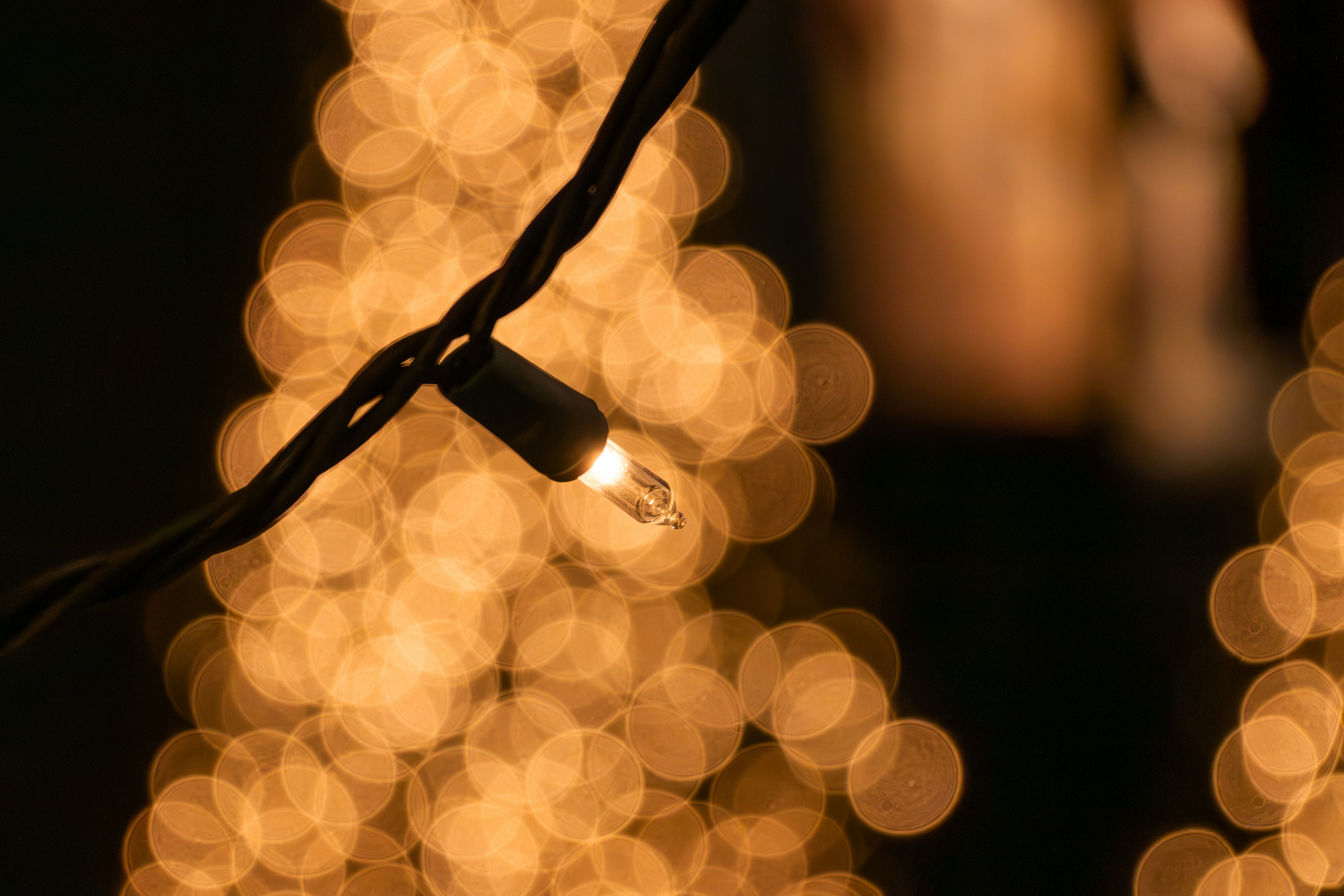 Photo by familylifecs