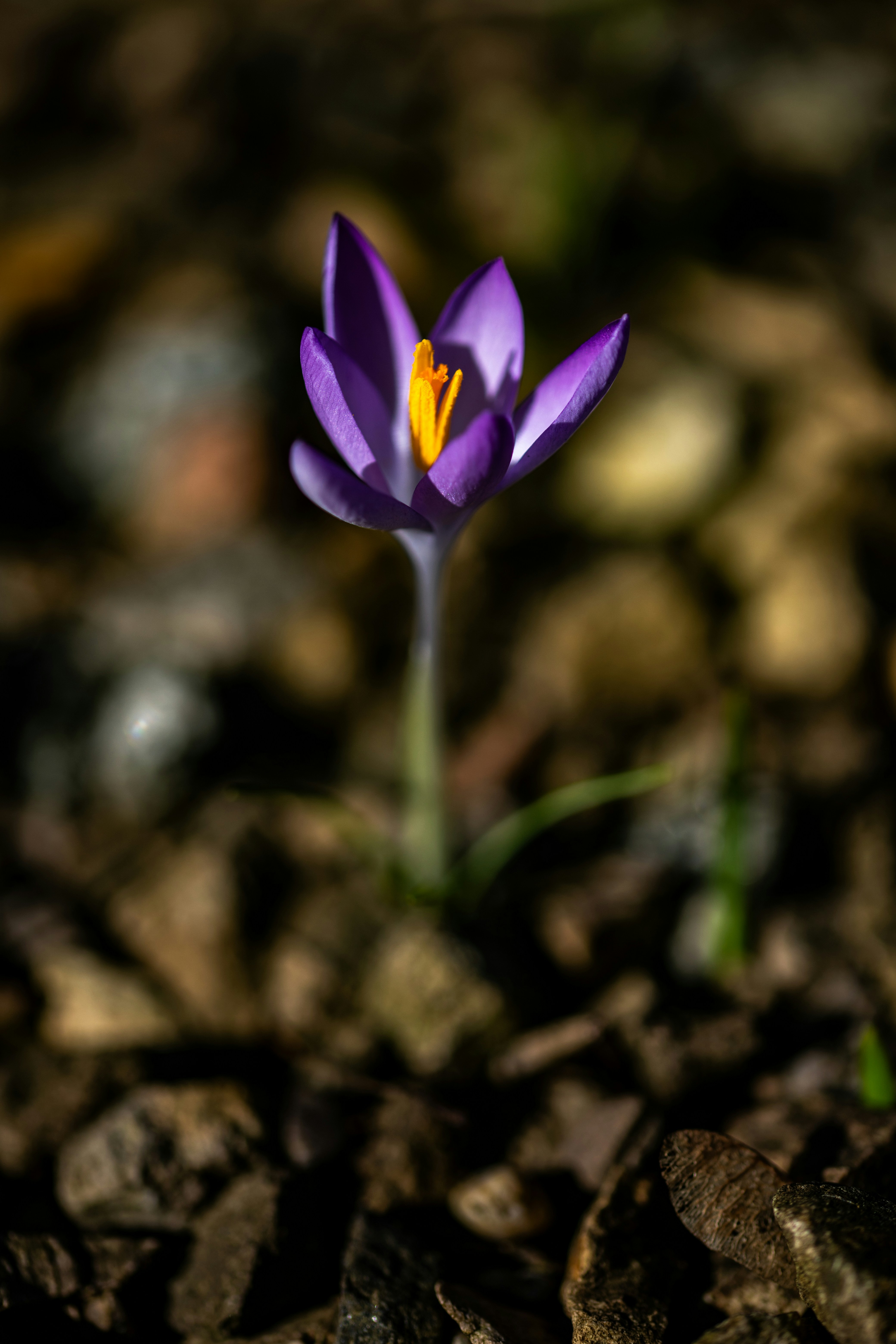 Photo by hdbernd