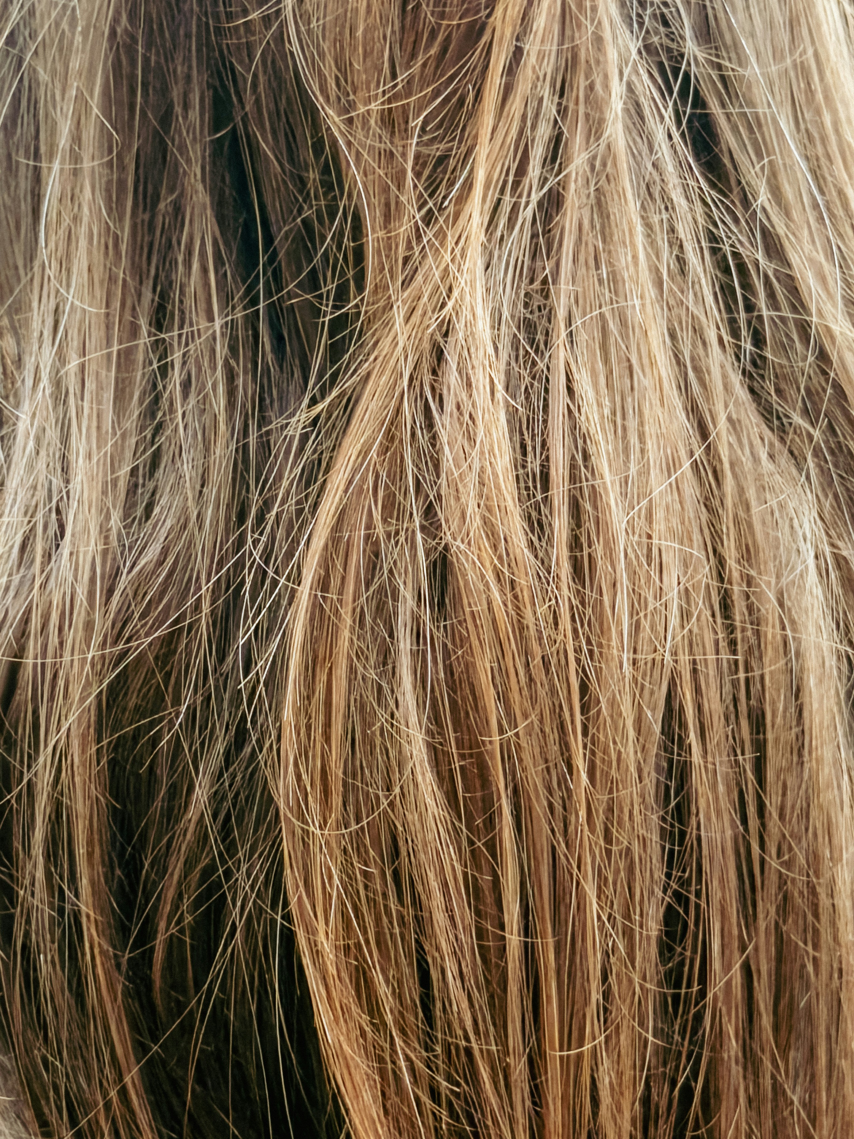 Close-up of messy, tangled blonde hair