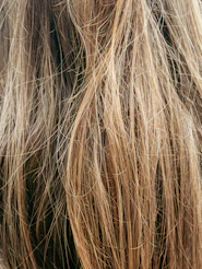 Close-up of messy, tangled blonde hair