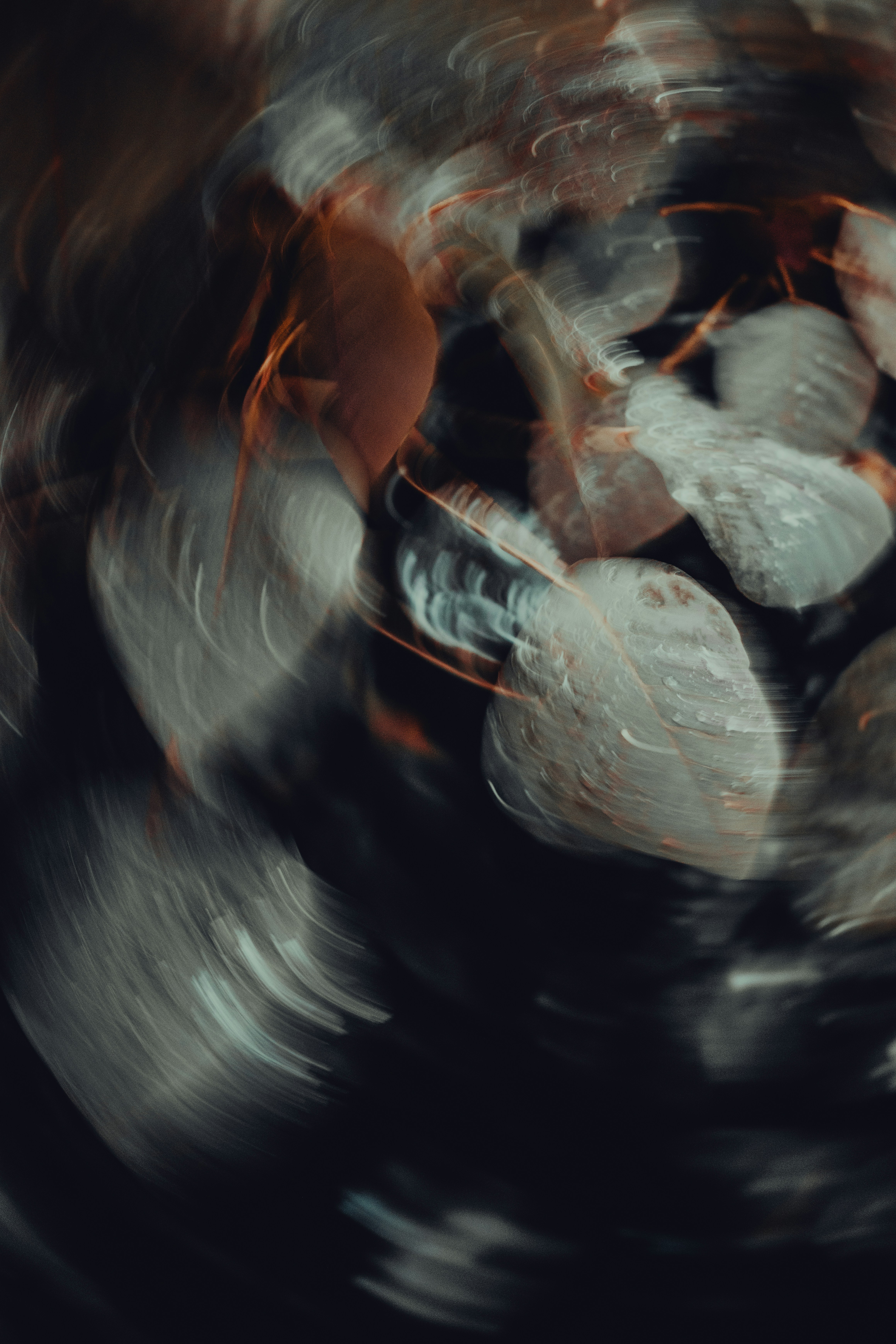 Abstract swirling pattern of leaves and branches