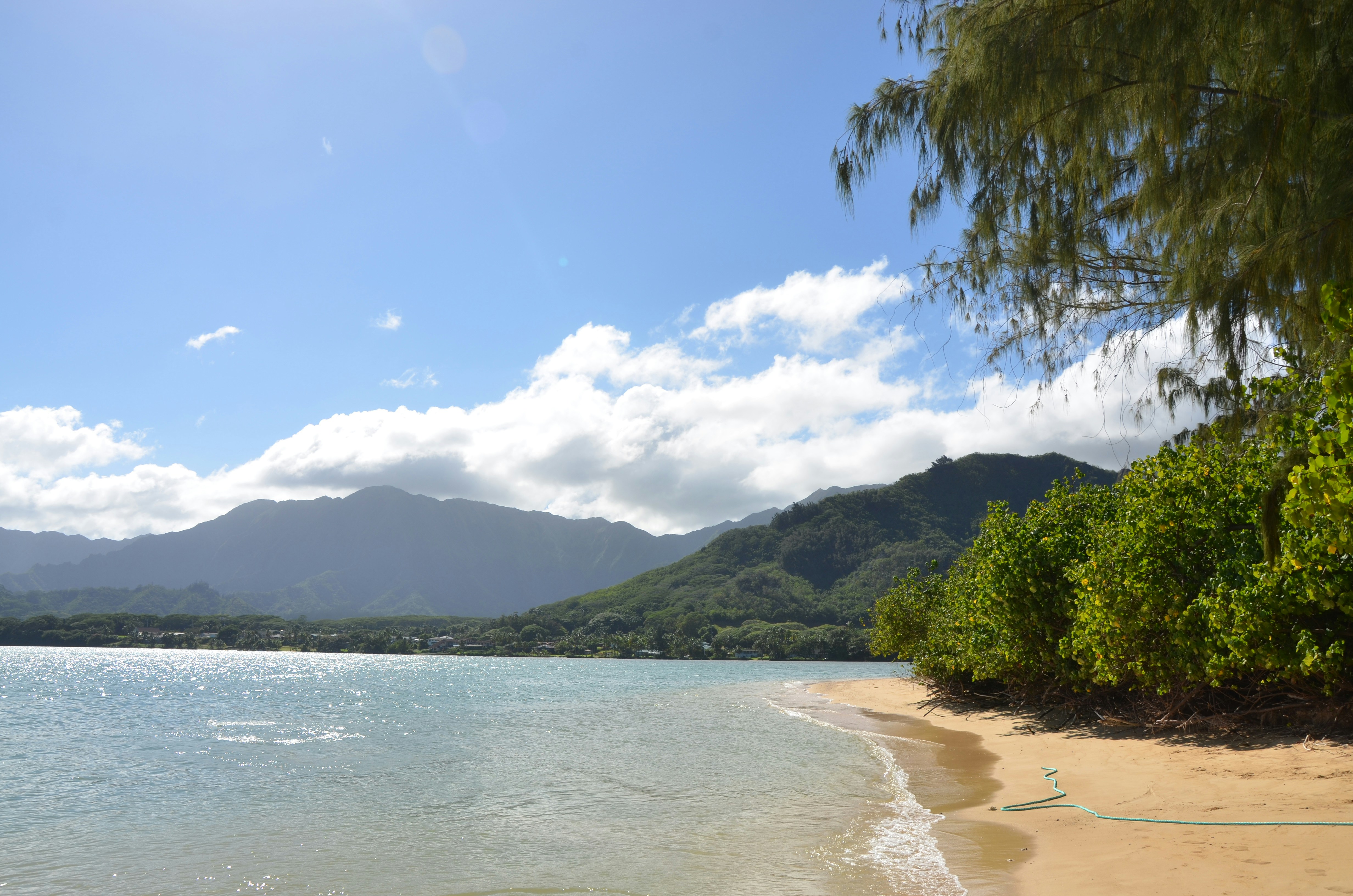 Photo by akshay_madivanan