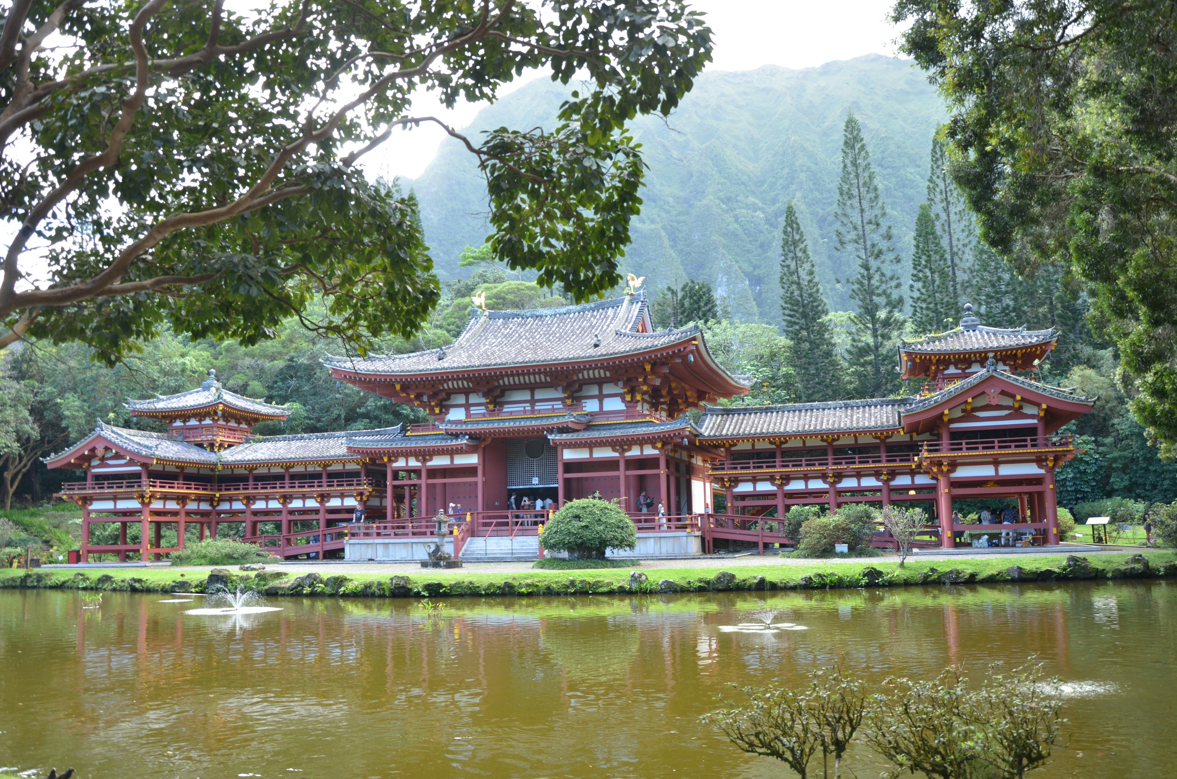 Photo by akshay_madivanan