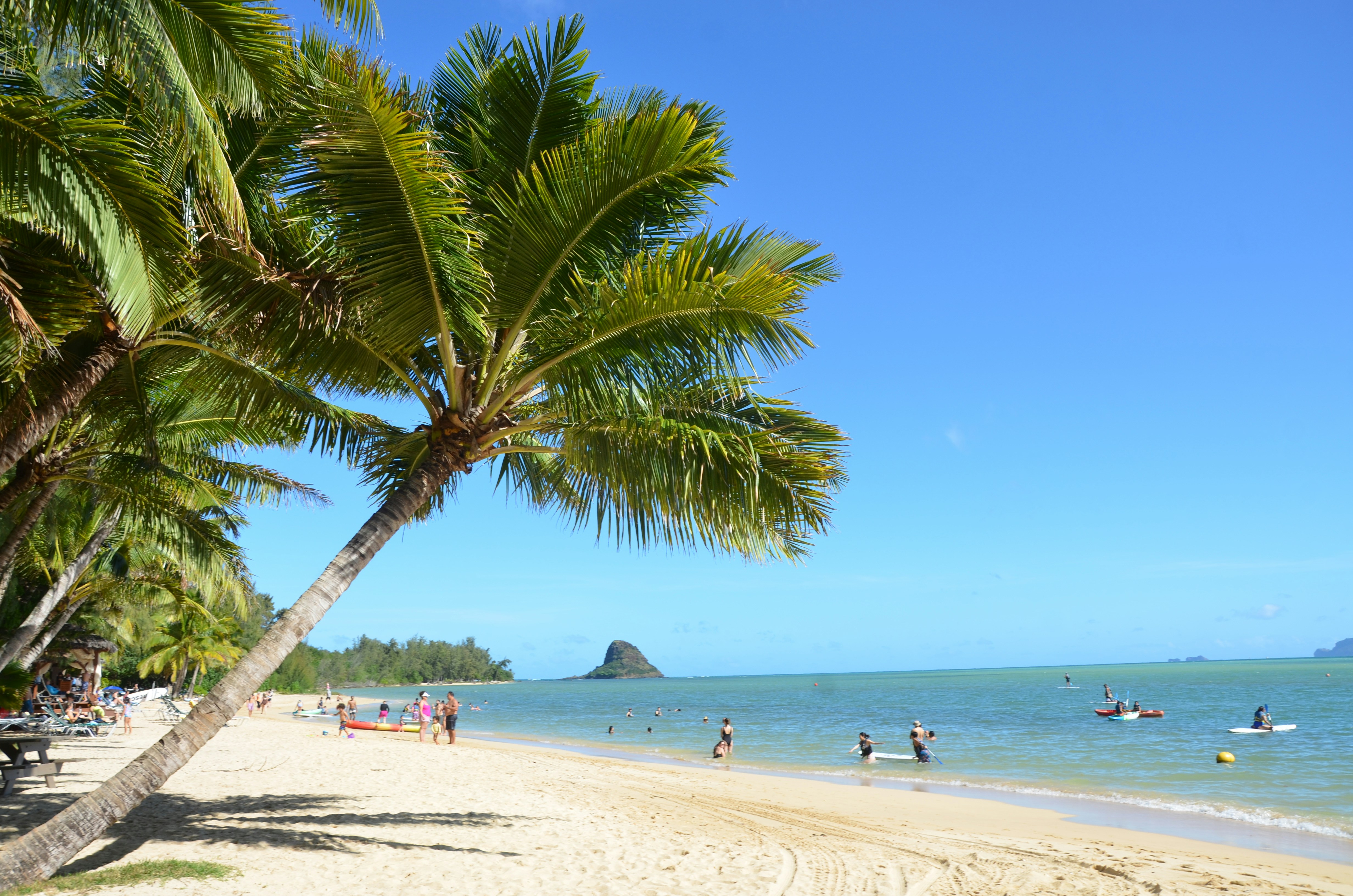 Photo by akshay_madivanan