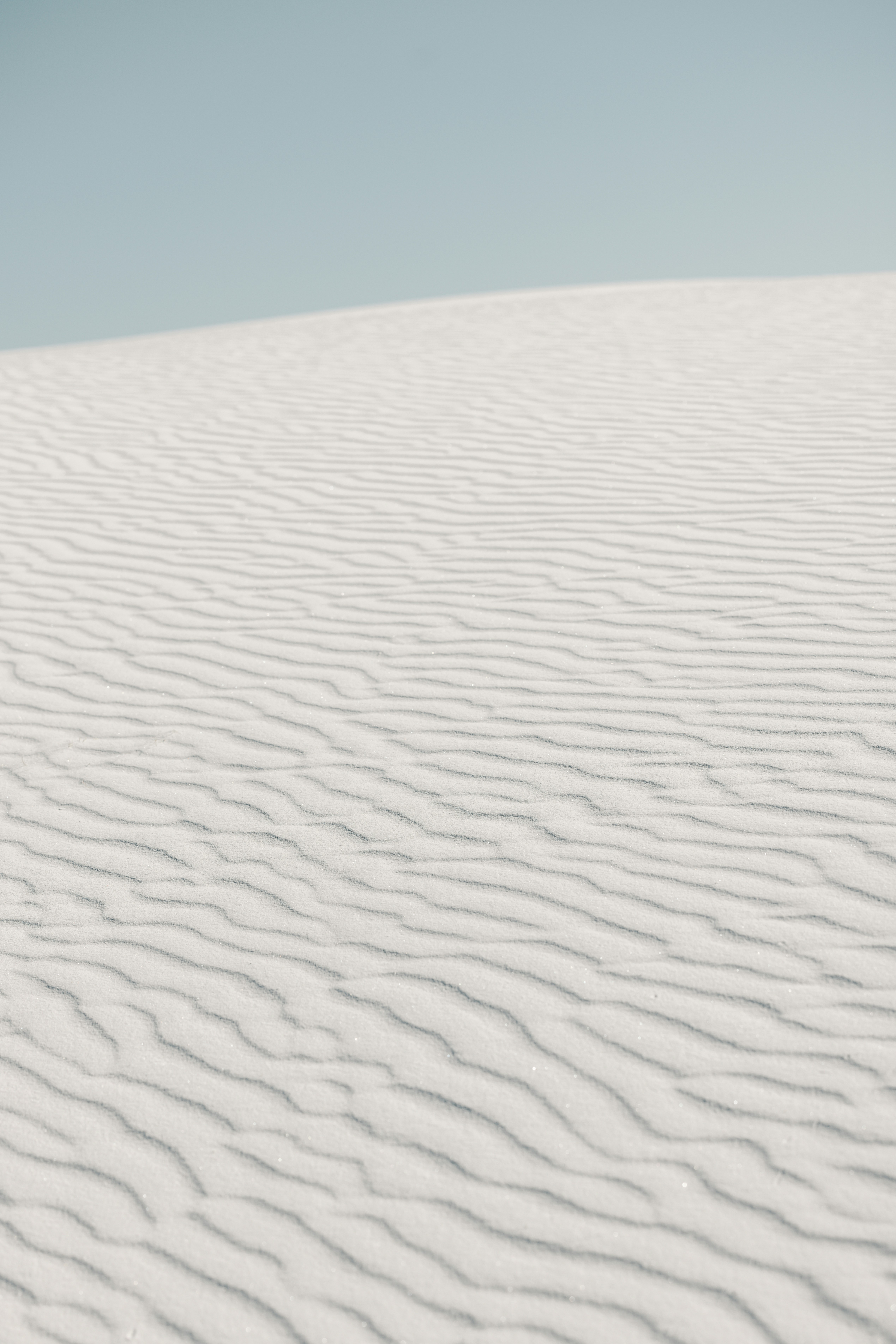 Photo by casunshine0508