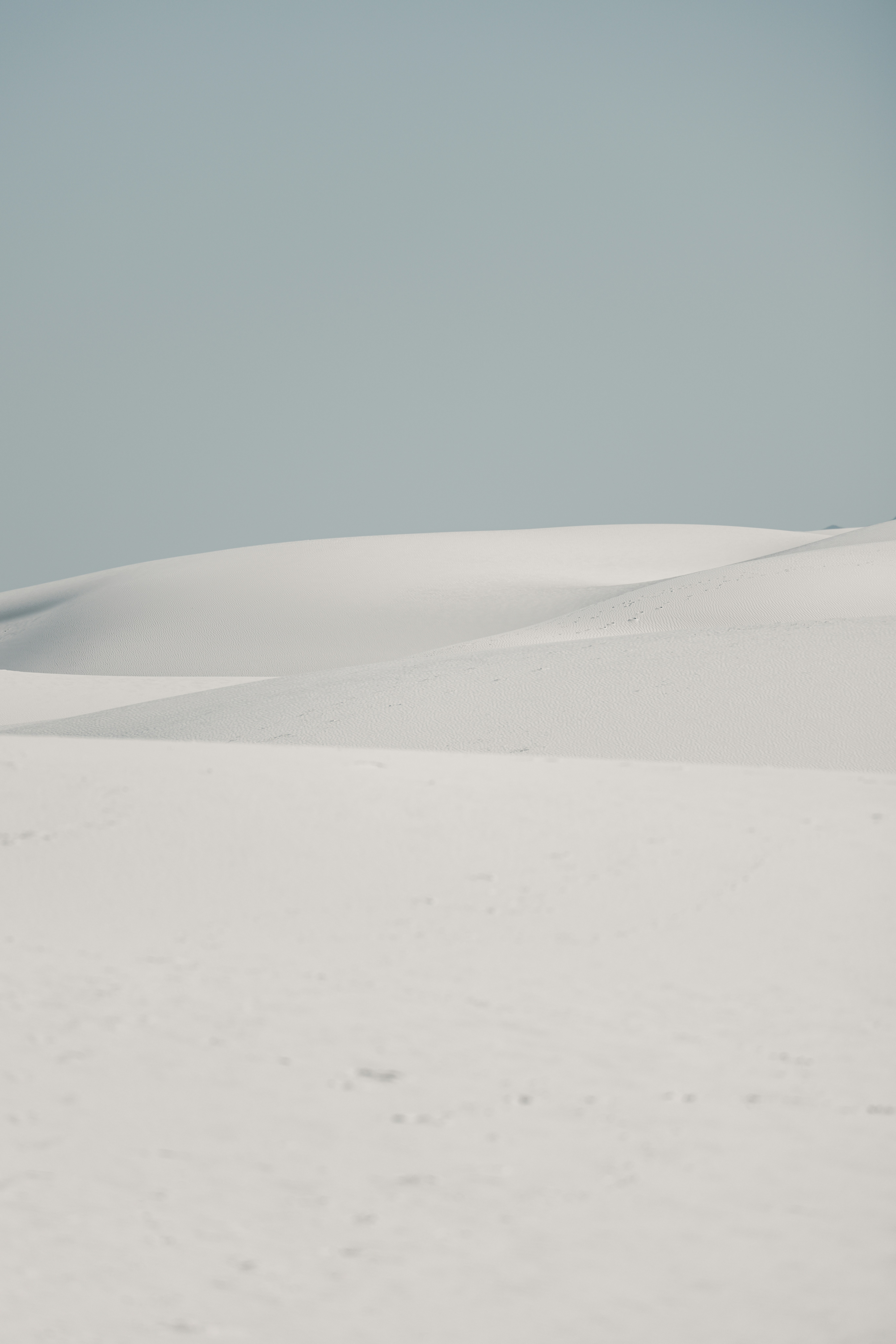 Photo by casunshine0508