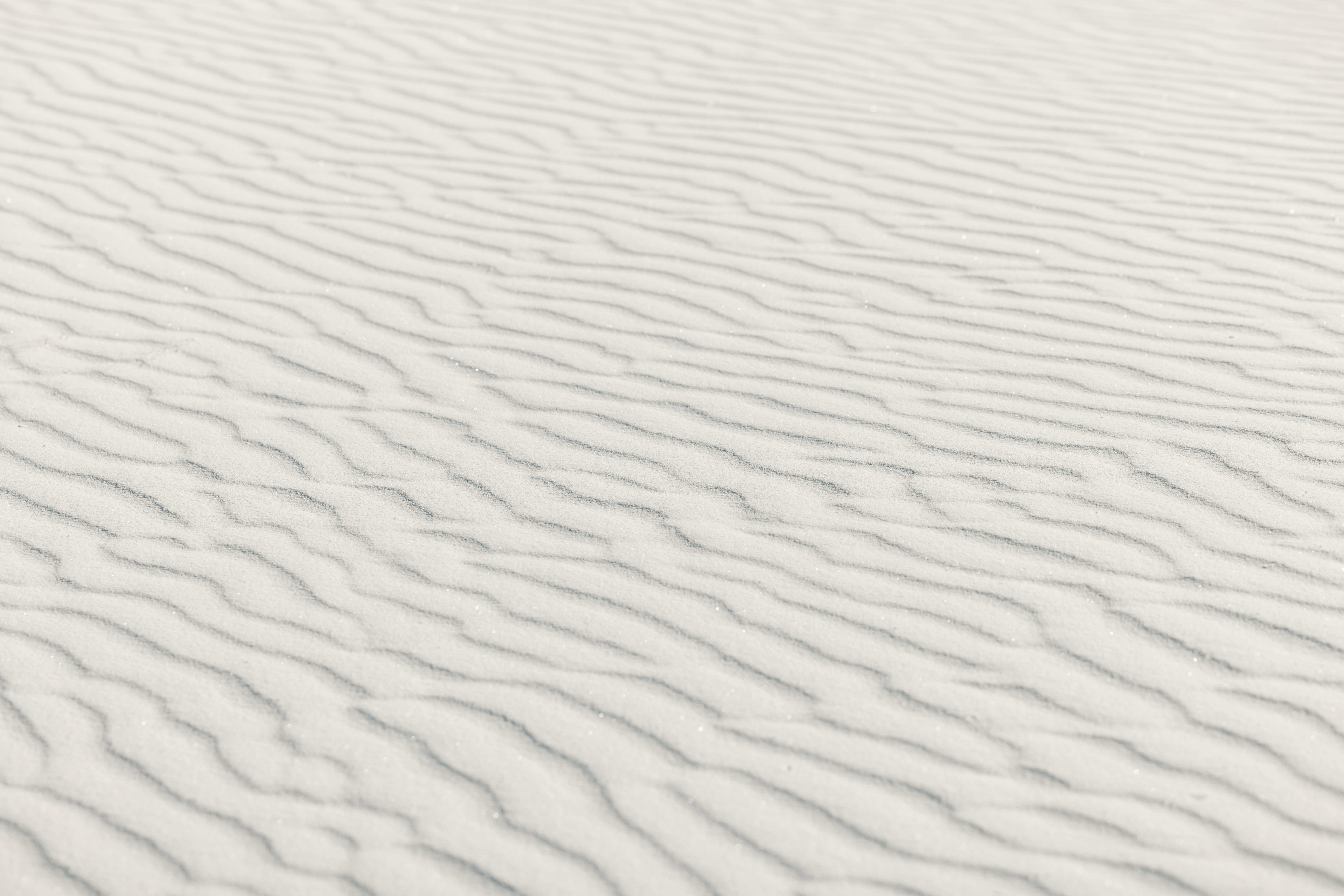 Photo by casunshine0508