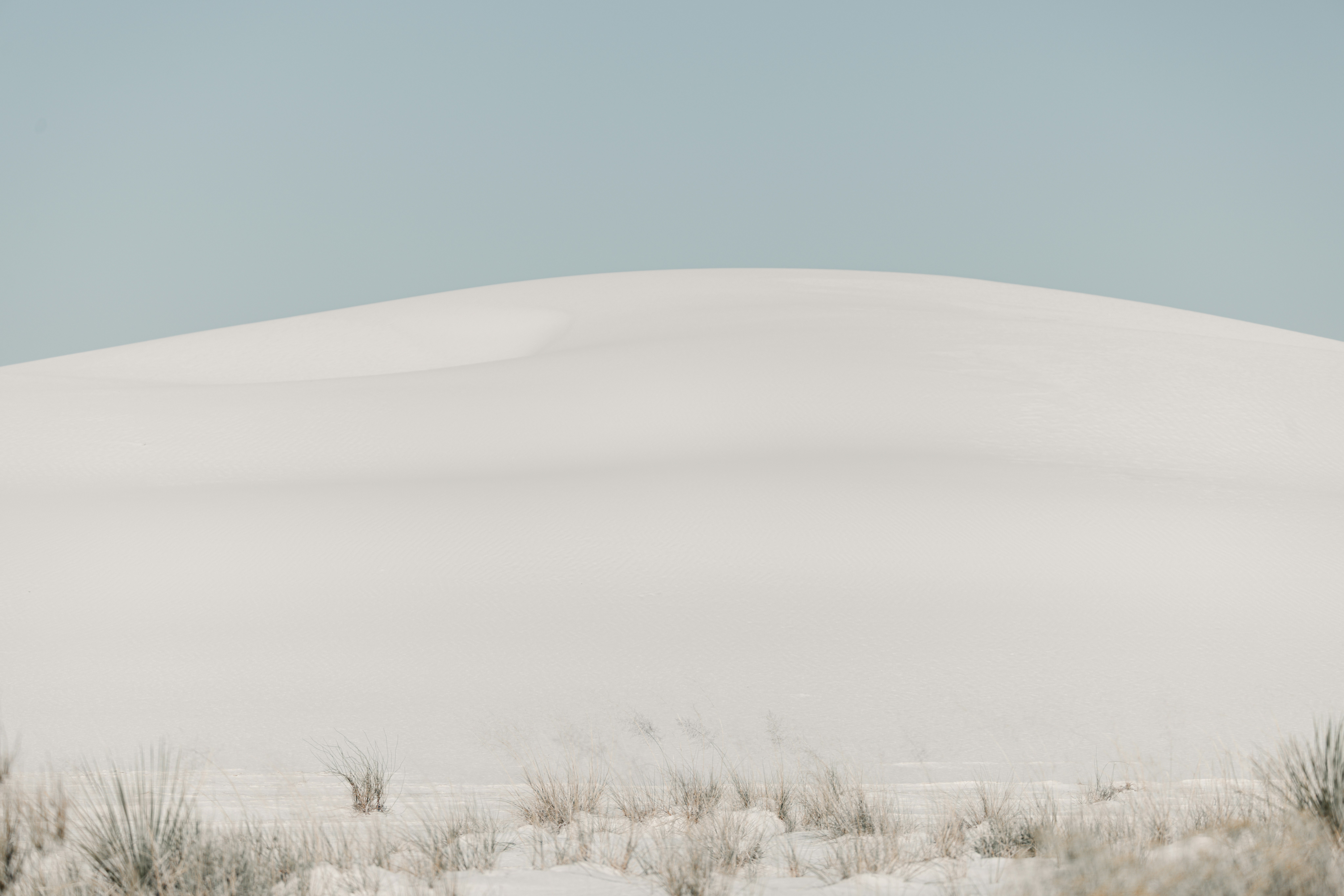 Photo by casunshine0508