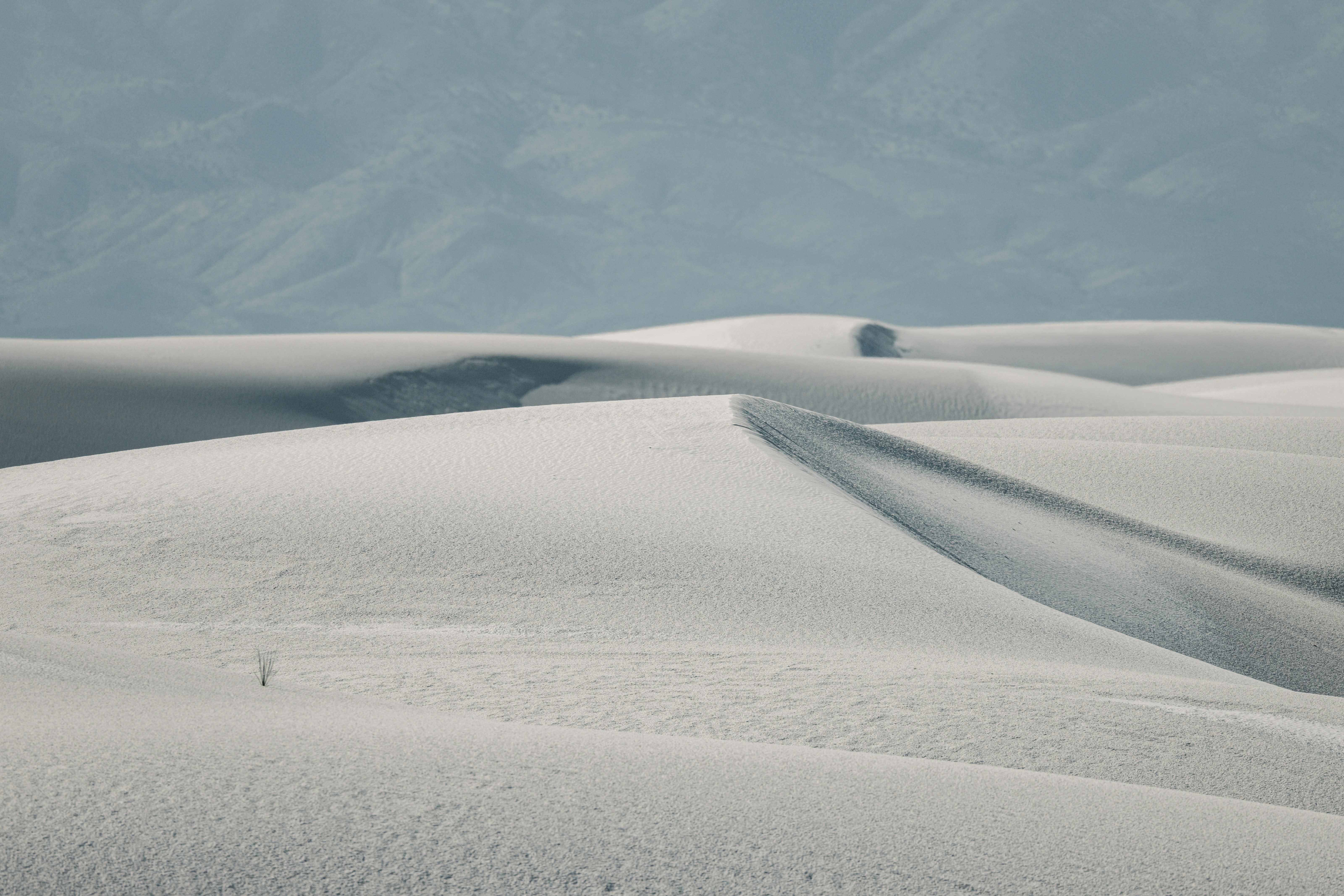 Photo by casunshine0508