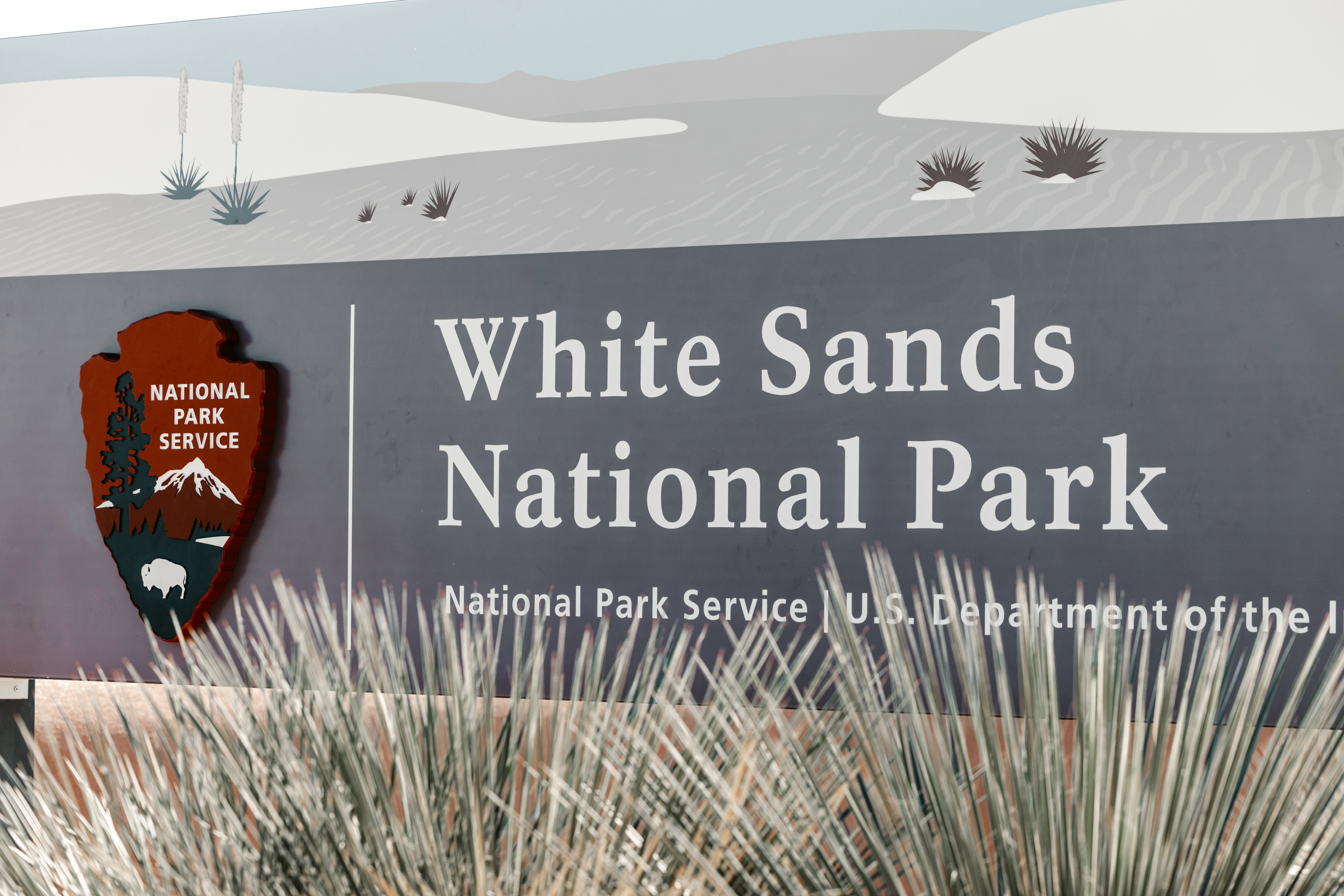 White sands national park sign with desert plants