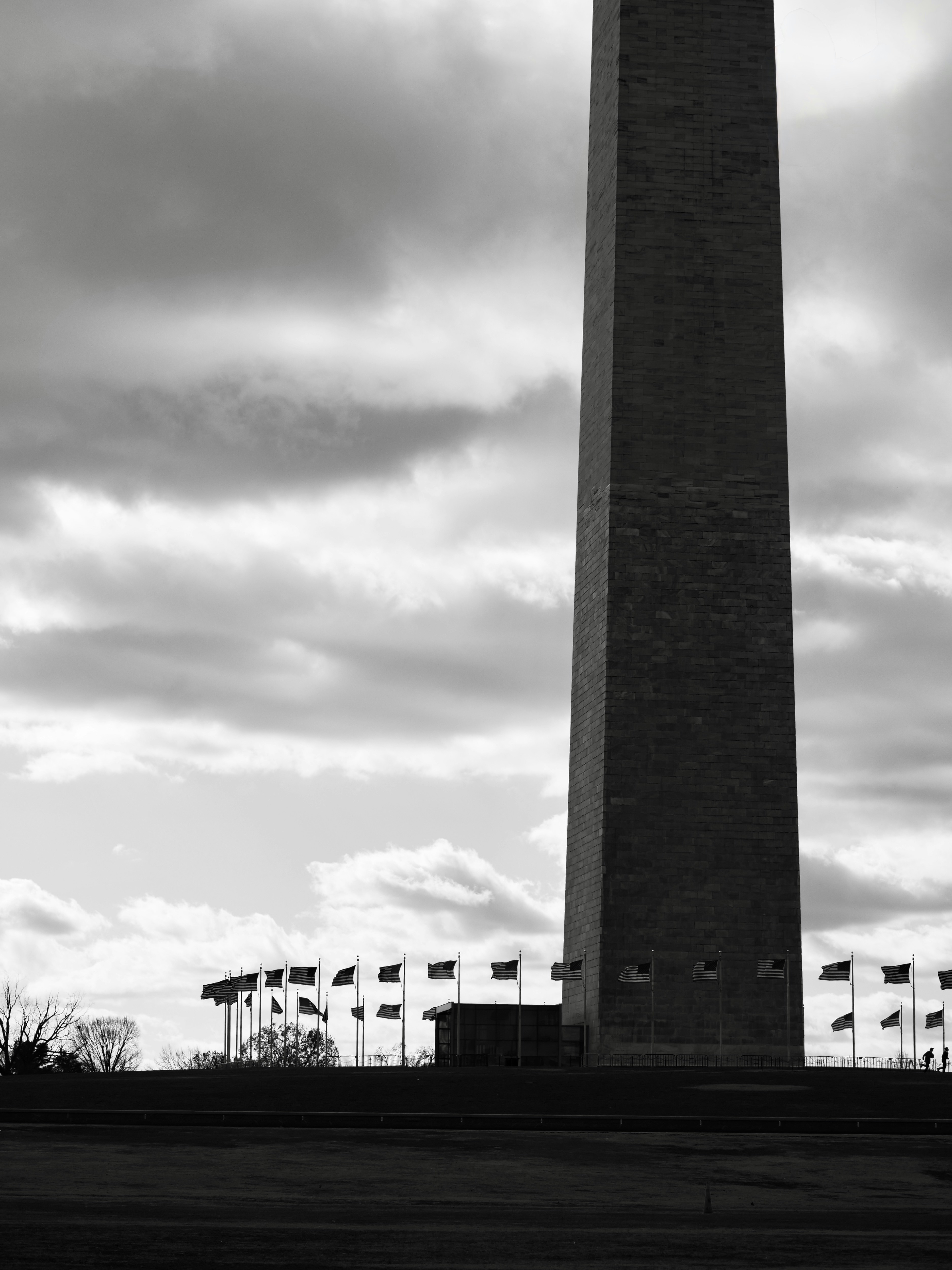 Gardens and Green Spaces in the Urban Core