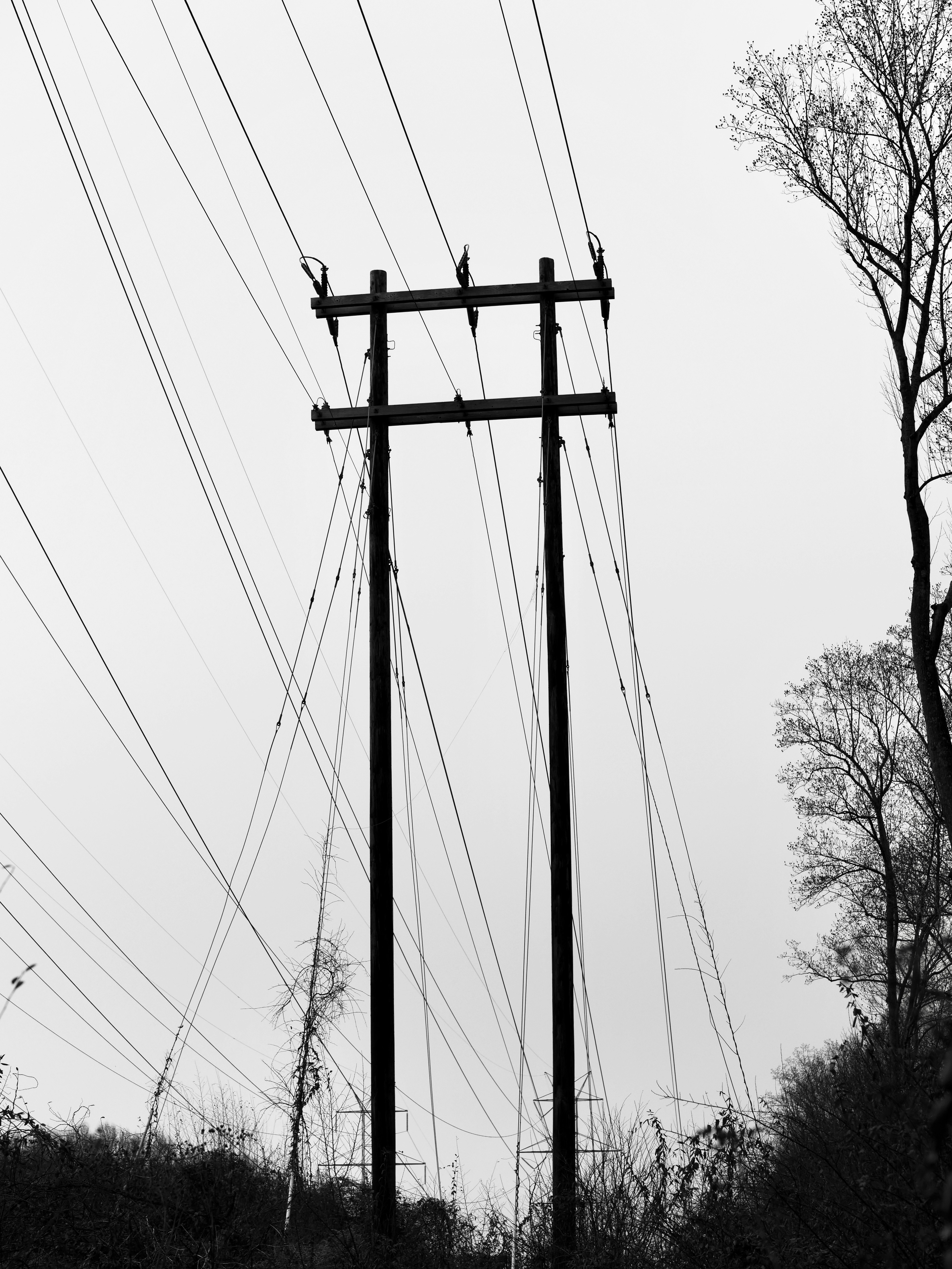 Photo by sschusterphotoart