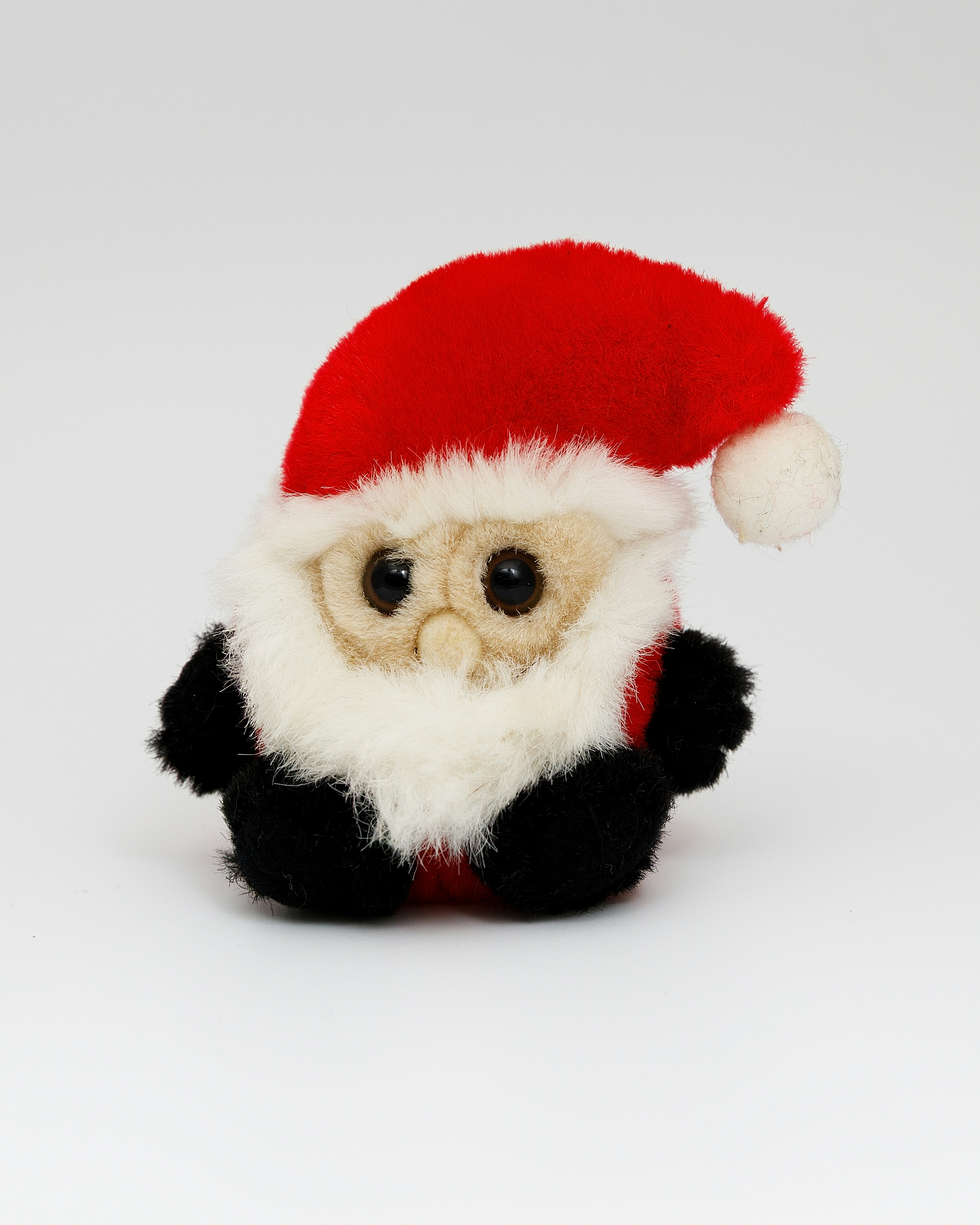 Photo by photosbyangied