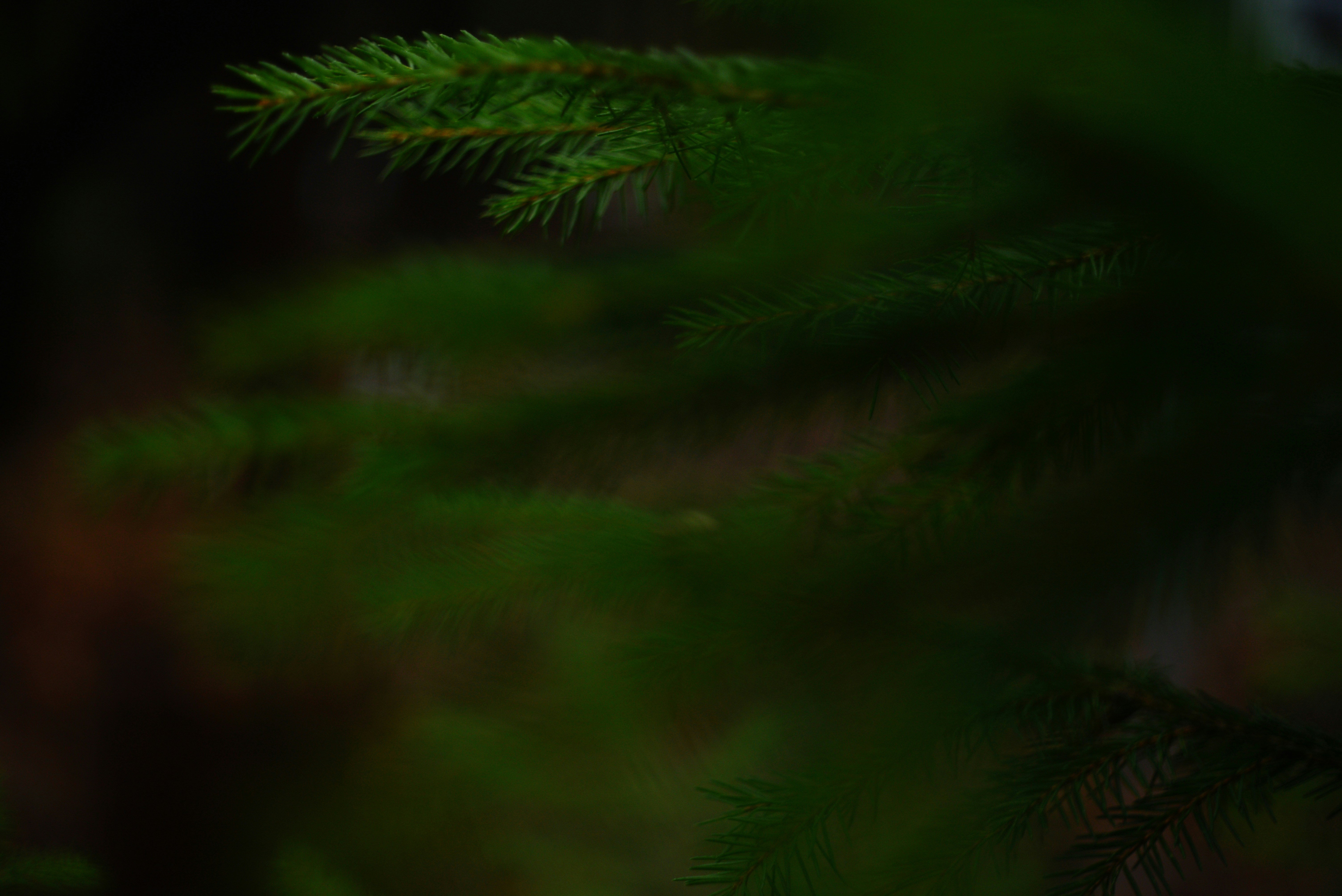 Photo by cherstve_pechivo