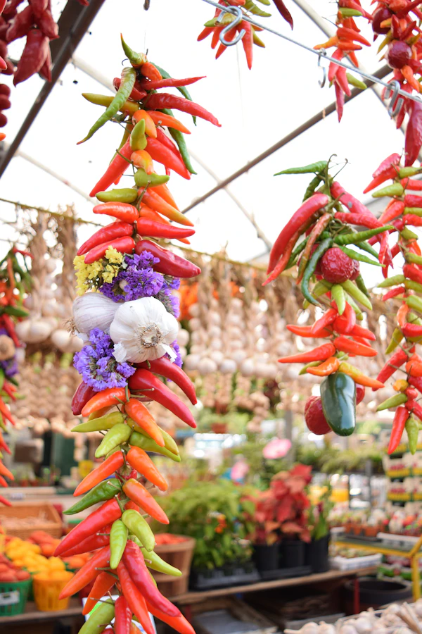 Dried chile peppers and garlic bundles hanging in the market