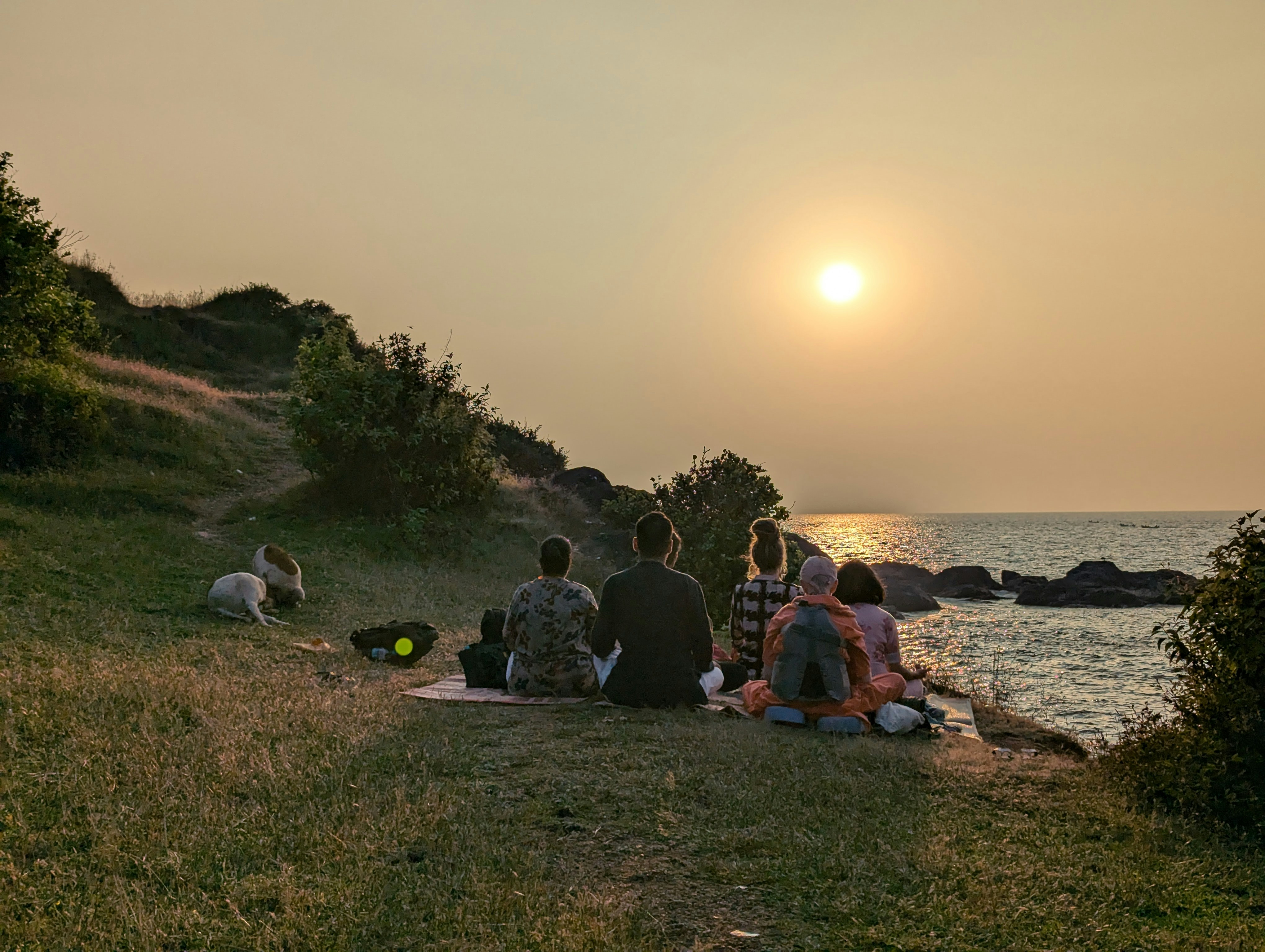 People watch sunset over the ocean with a dog.