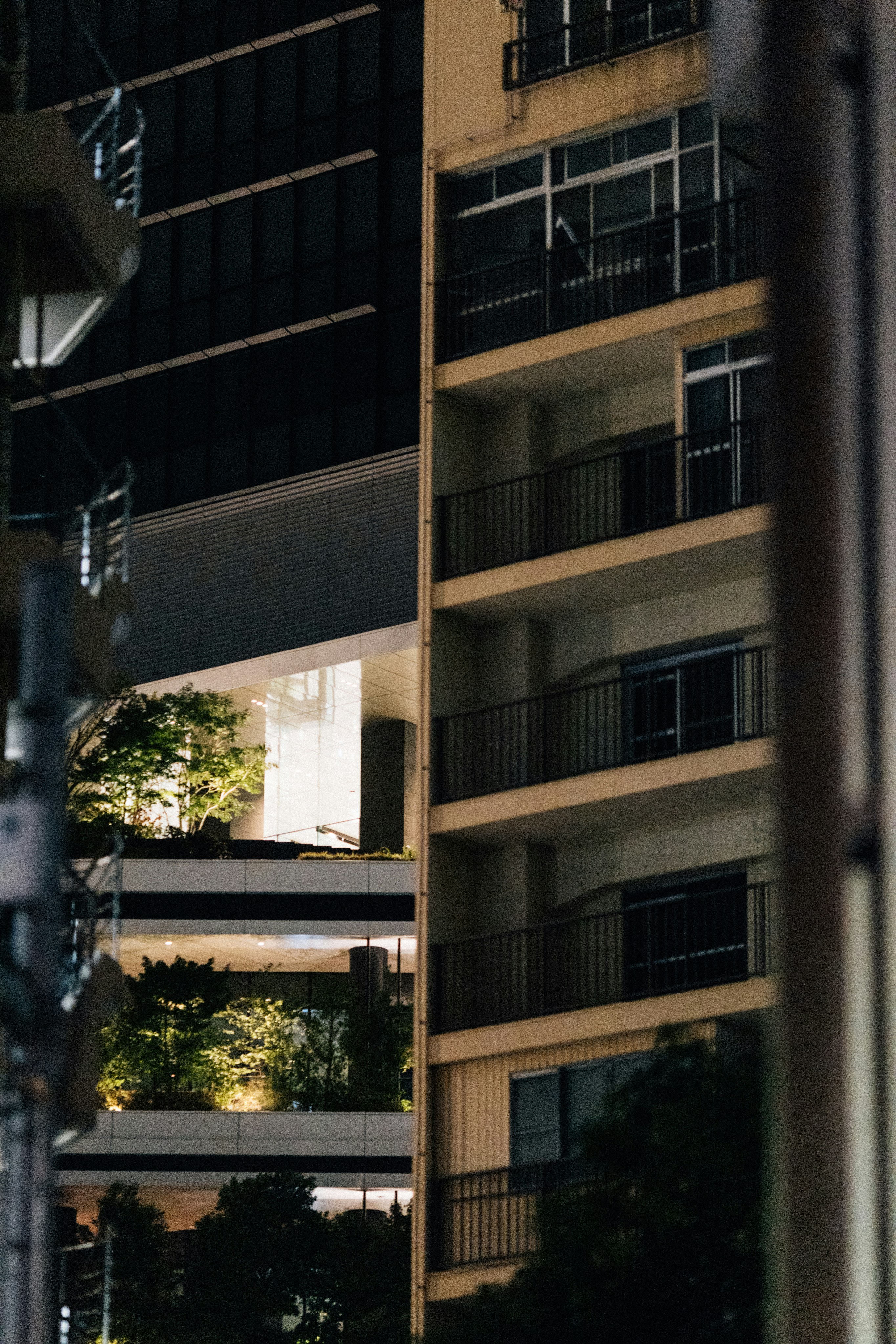 Photo by tsuyoshikozu