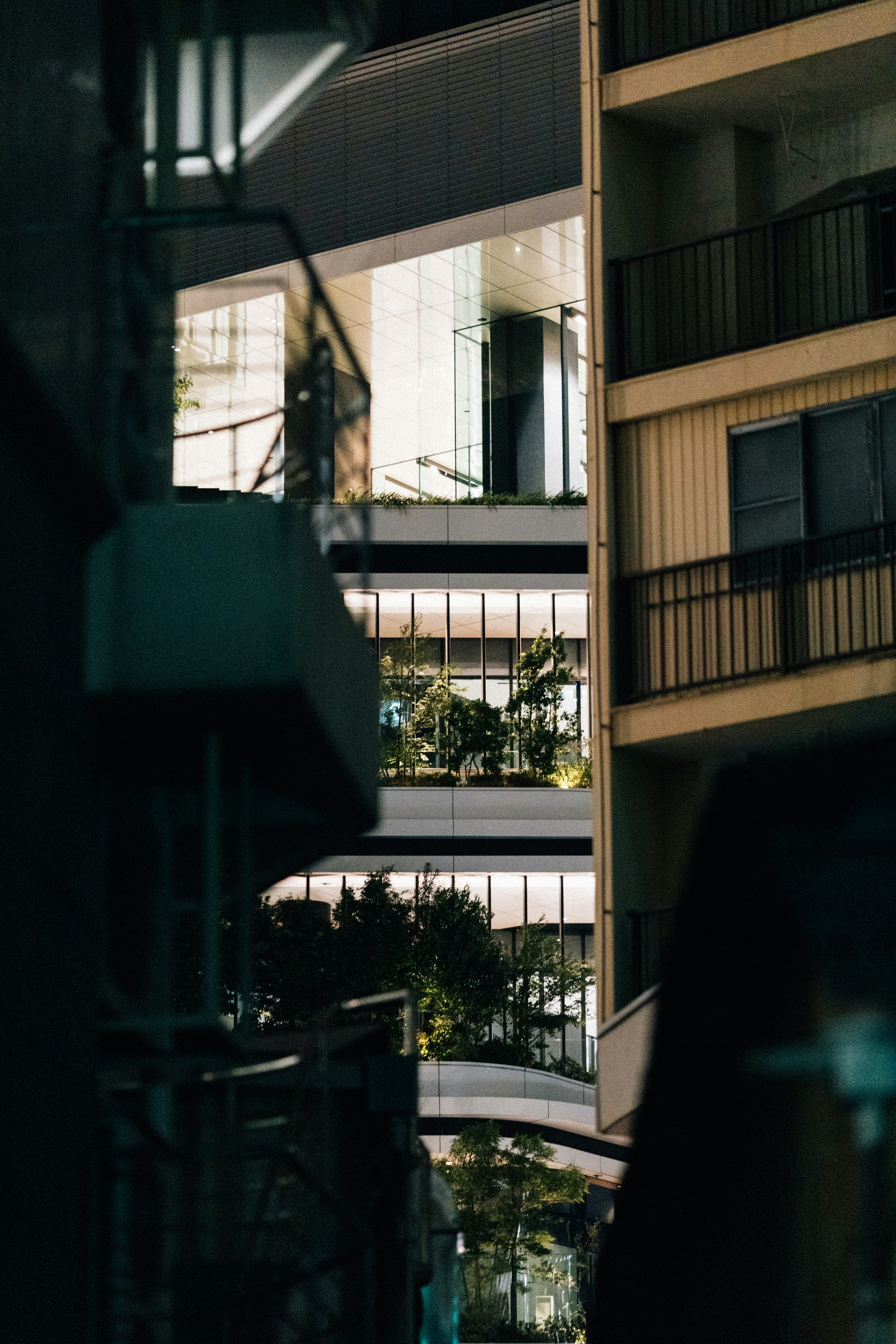 Photo by tsuyoshikozu