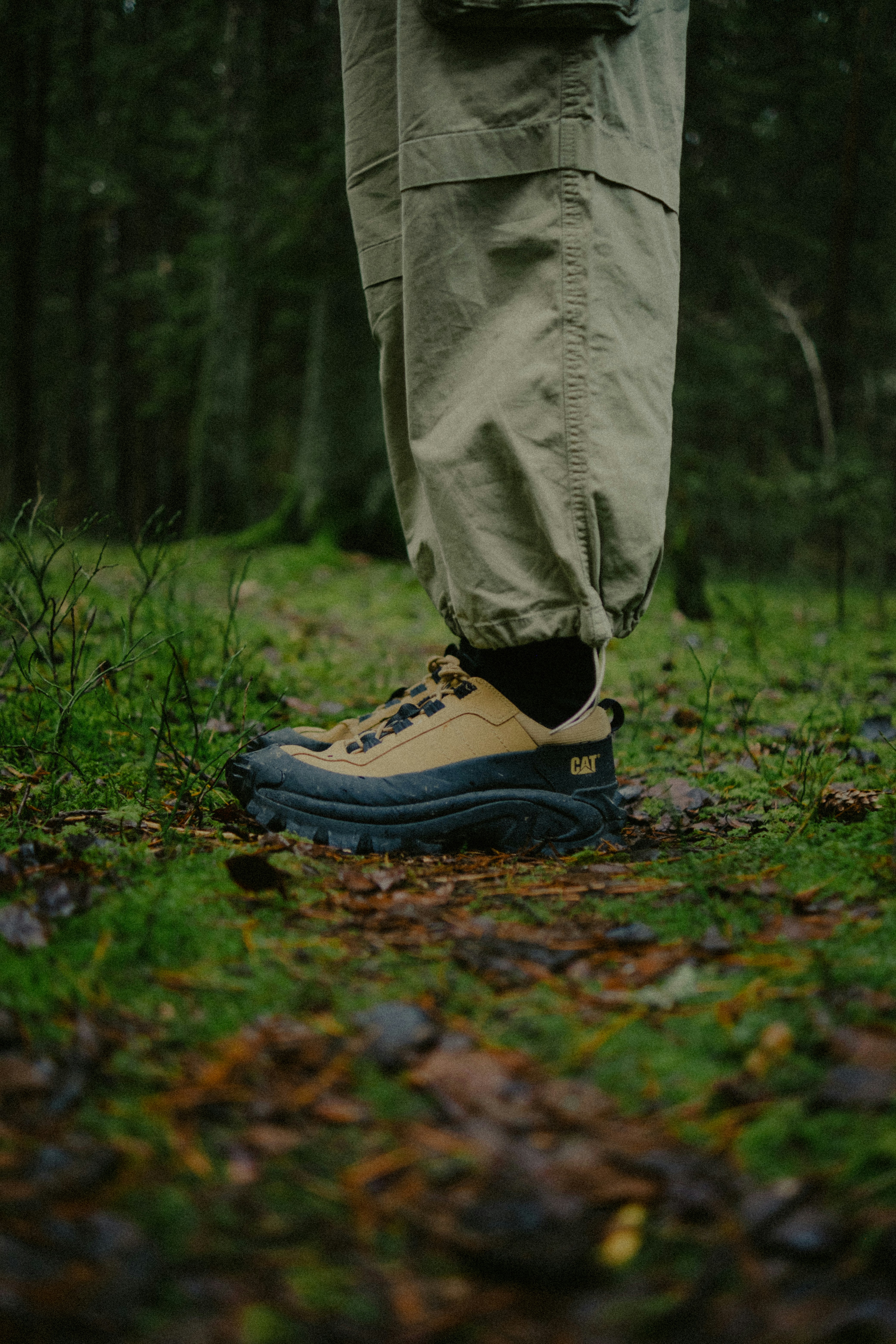Forest trail boots, ilustrasi artikel Conquer the Elements: Your Ultimate Waterproof Camping Boots Review & Buying Guide 5