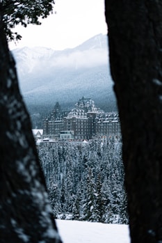 Grand hotel nestled in snowy mountains and forest