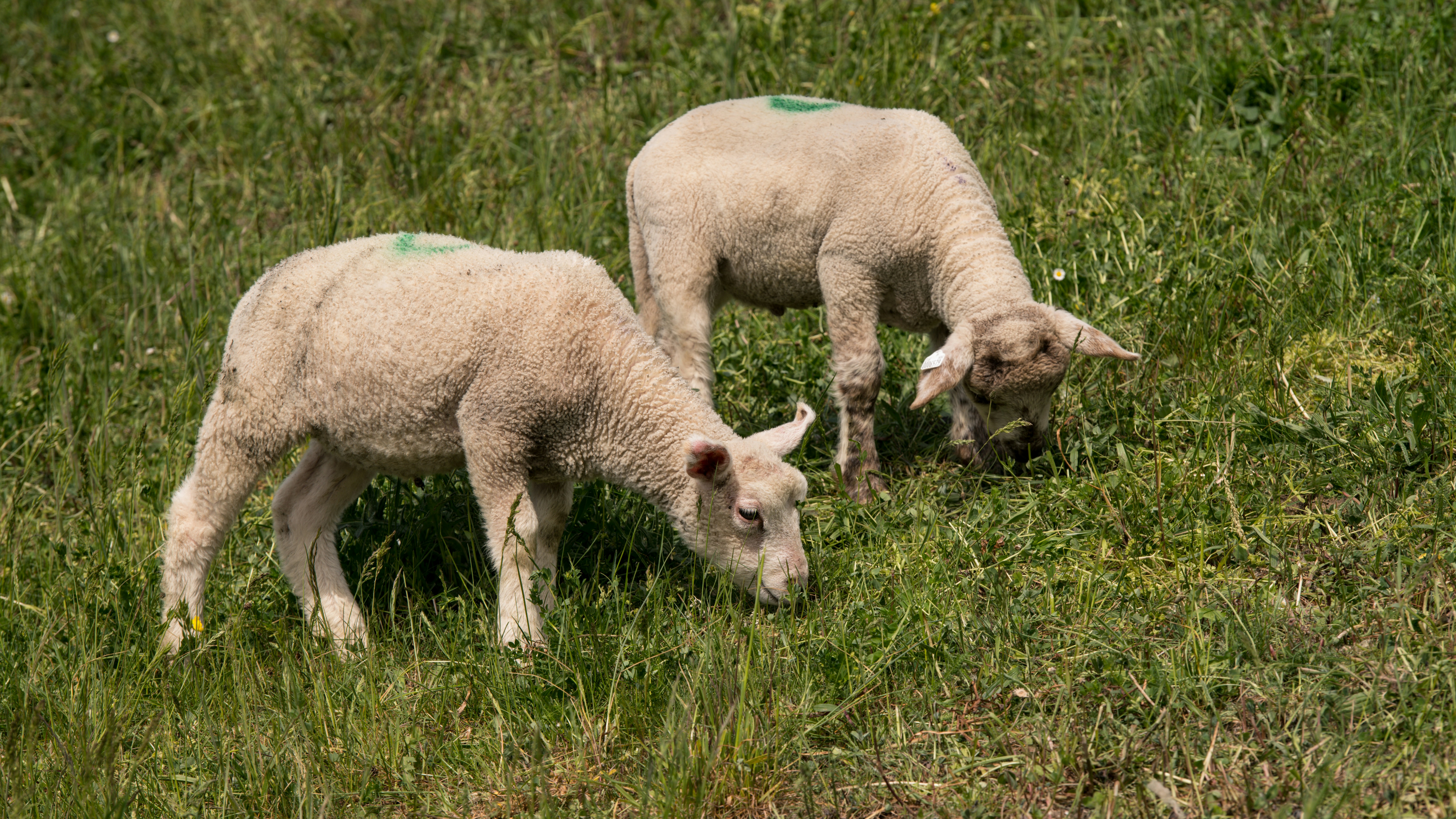 Photo by hamburgmeinefreundin