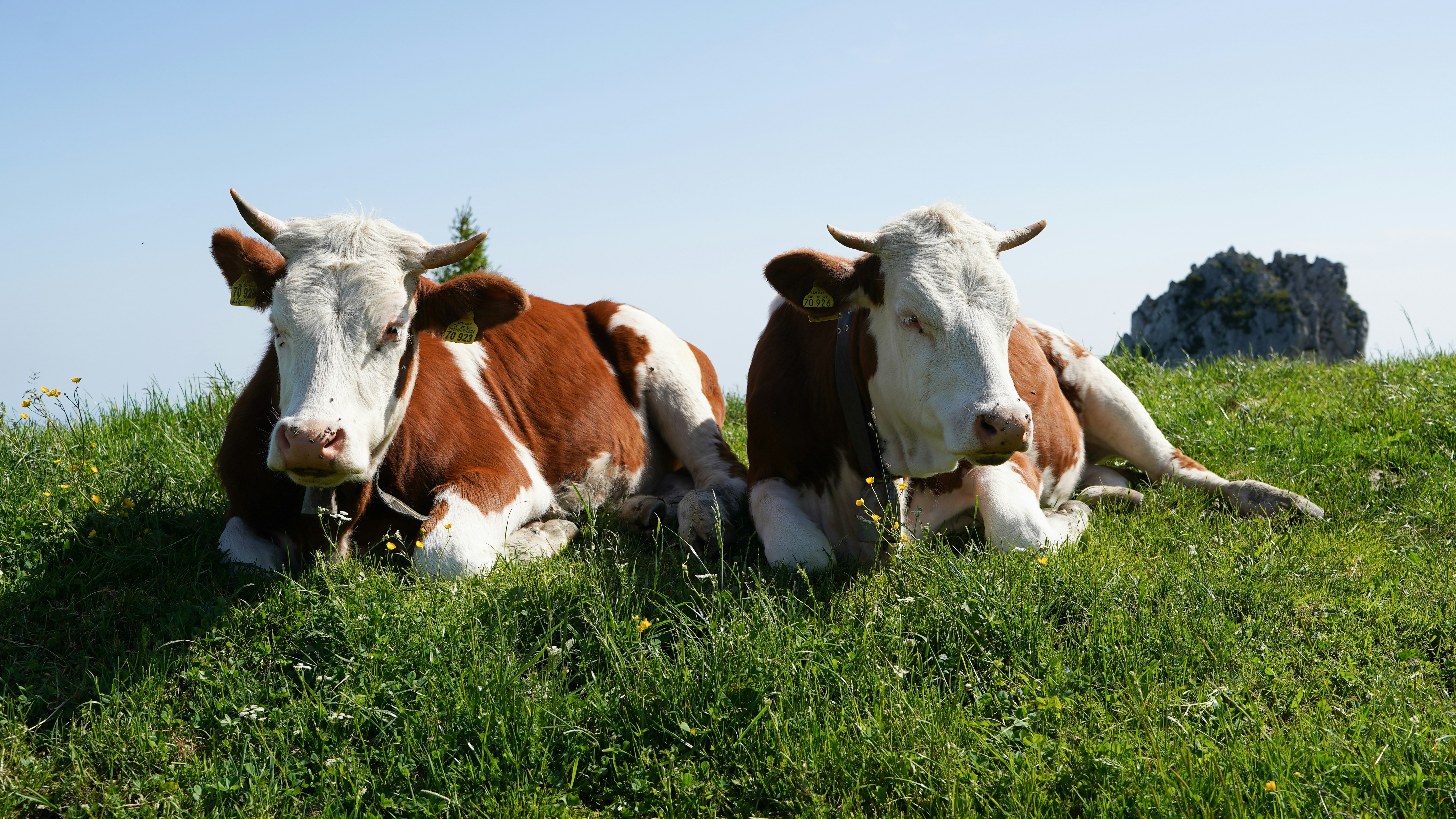 Photo by hamburgmeinefreundin