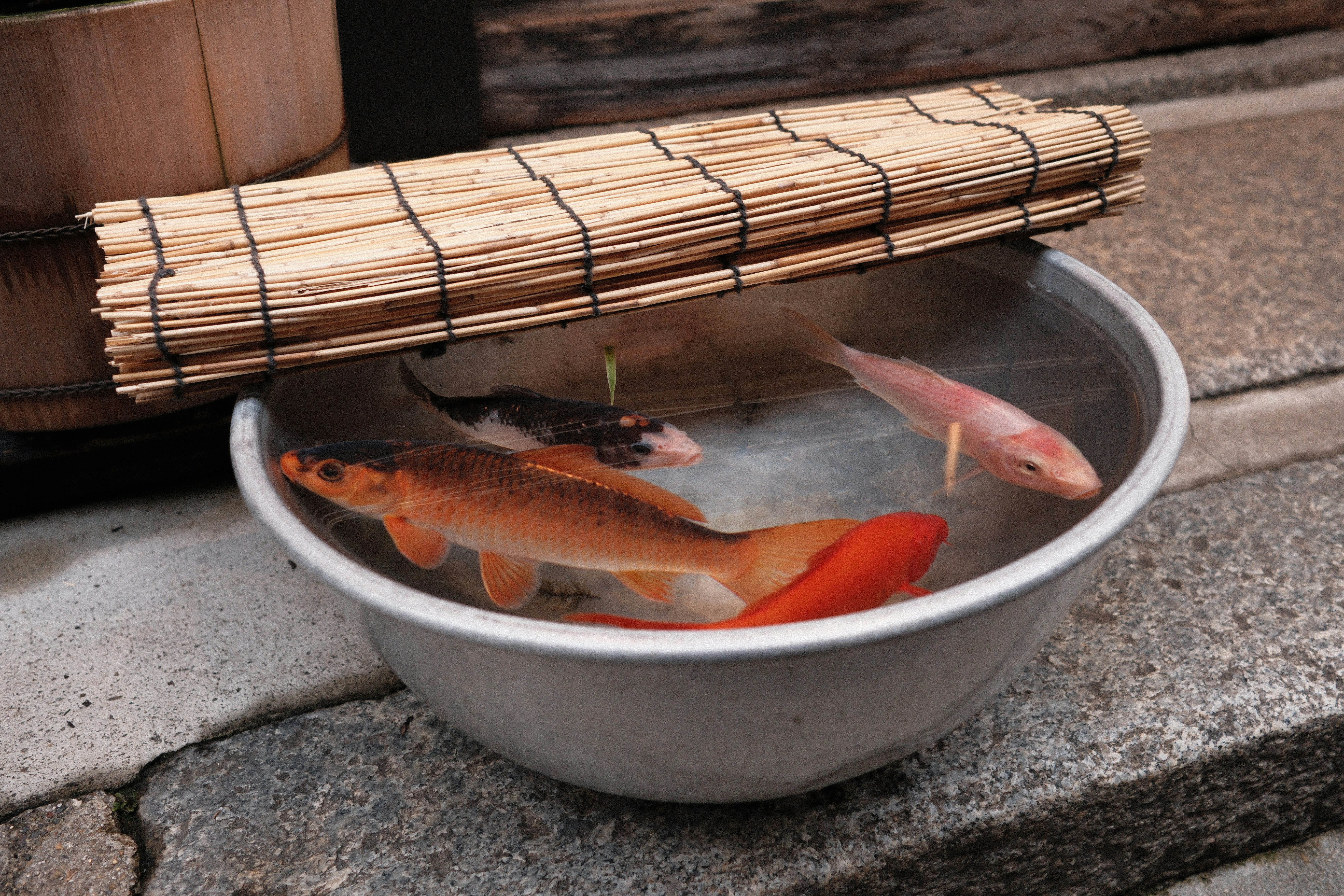 이천 테르메덴 겨울철 노천탕 이용 팁 및 음식물 반입 허용 기준 이미지2