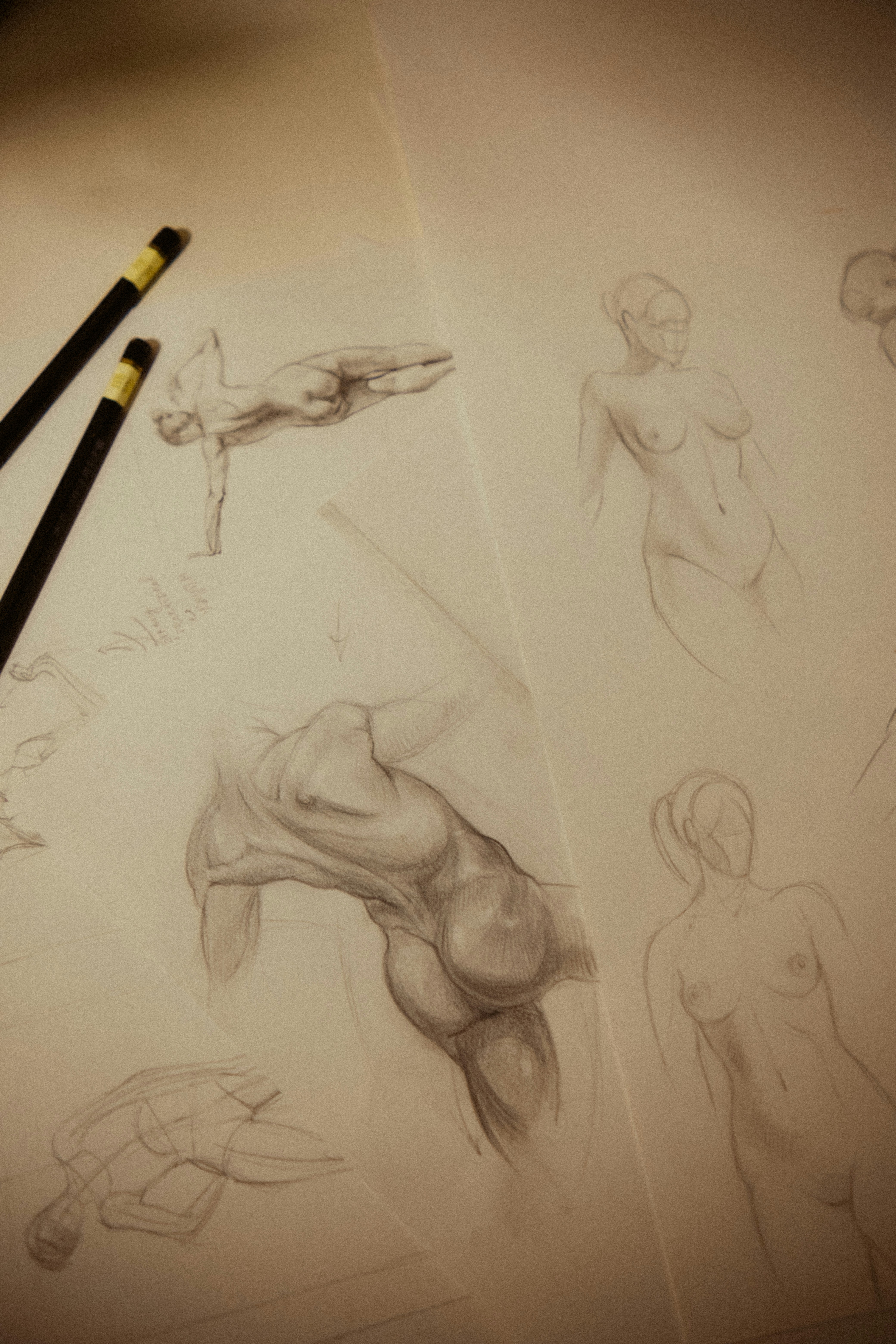 Human proportions chart sketch