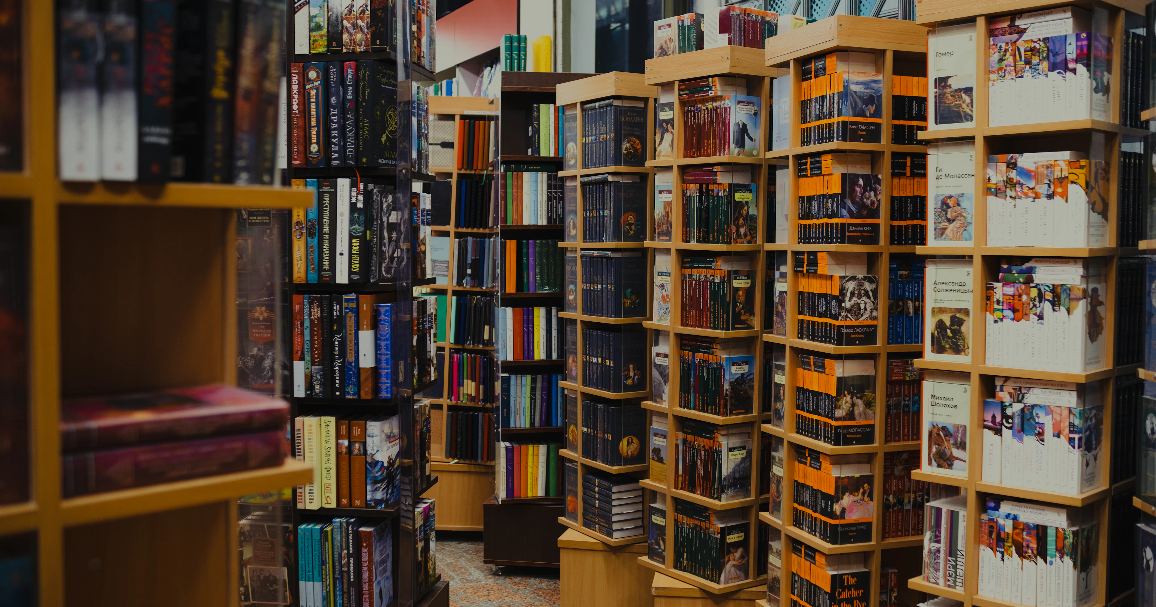 Books displayed on shelves in a bookshop, where readers compare titles before buying