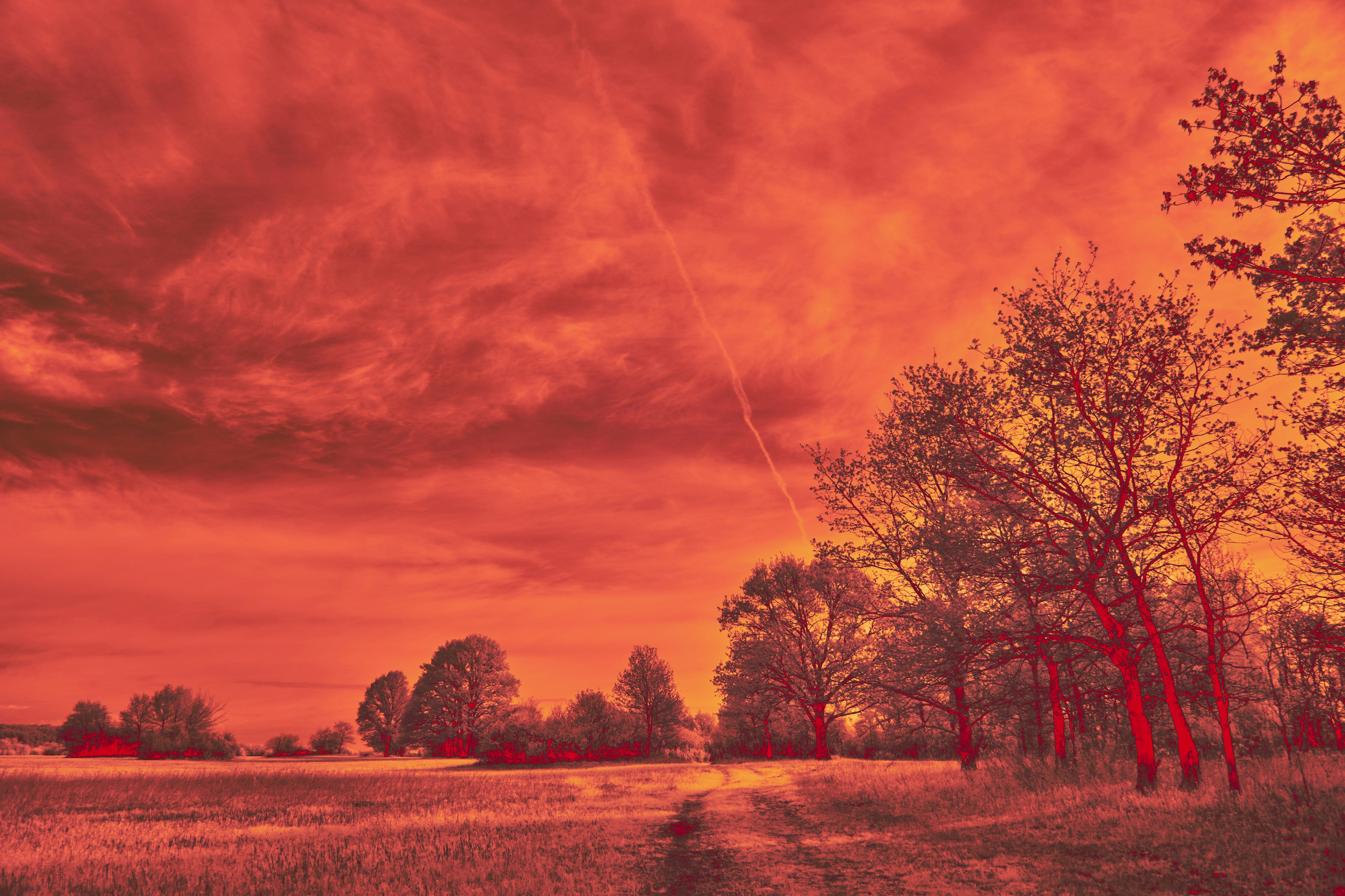 Photo by wolfgang_hasselmann