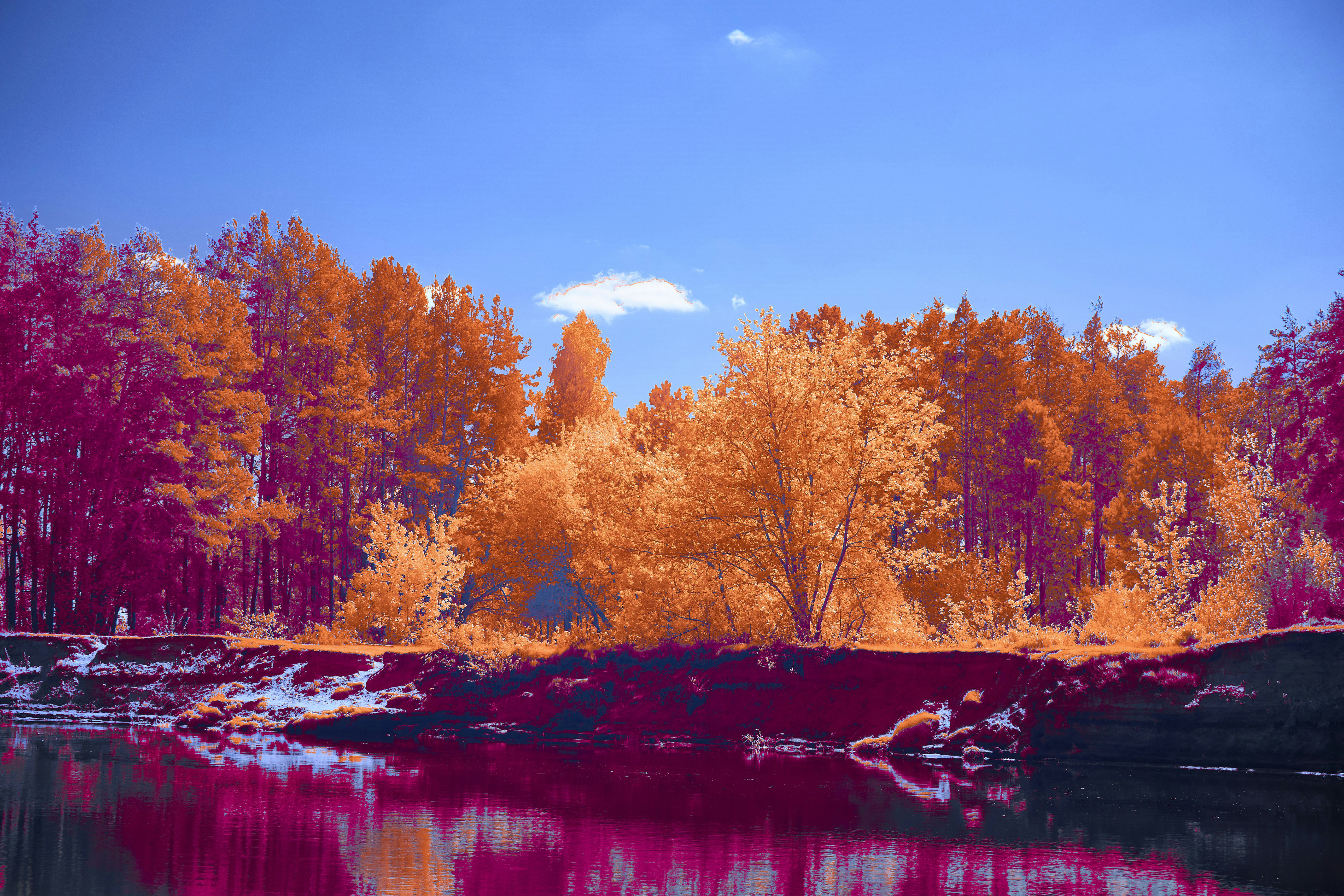 Photo by wolfgang_hasselmann