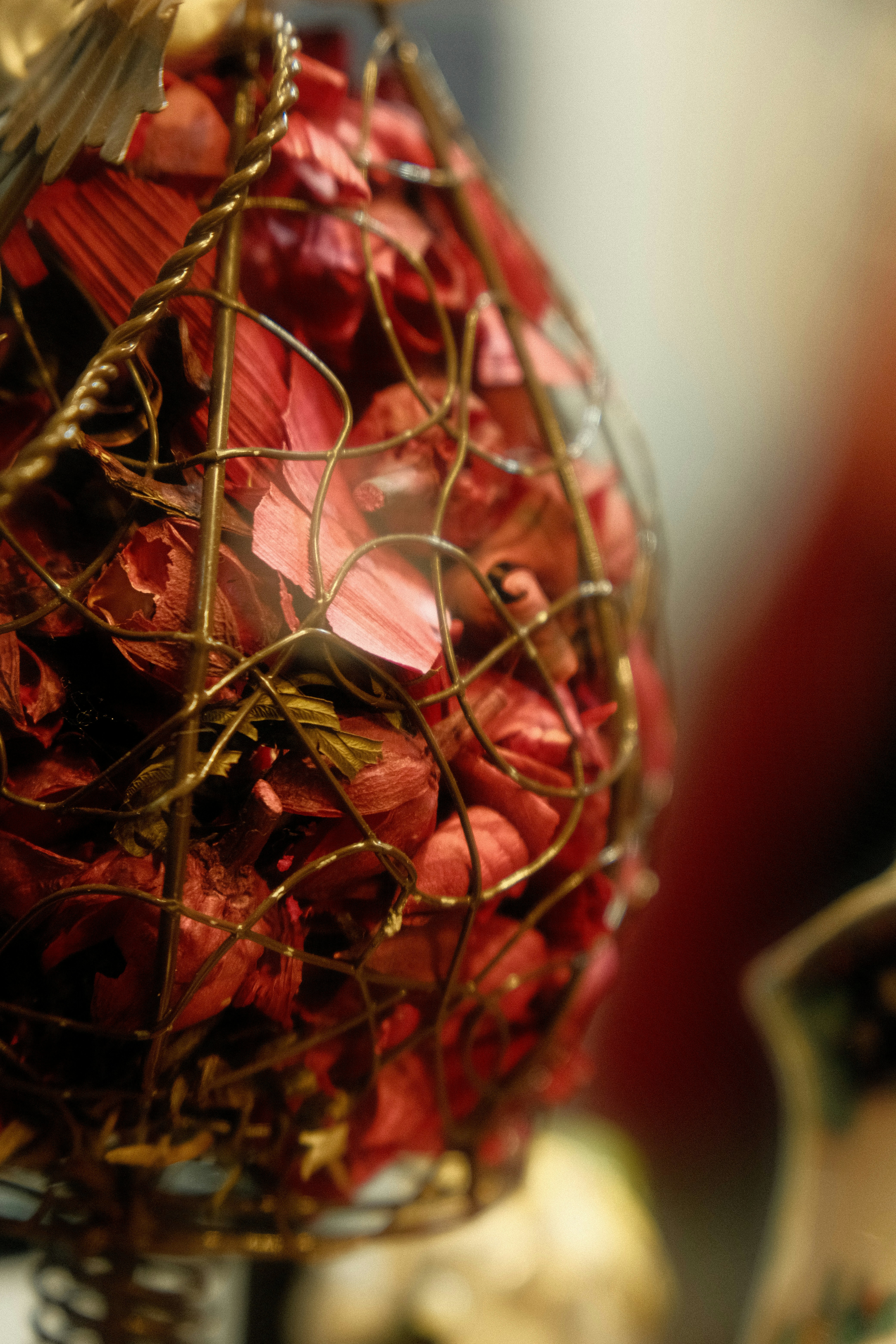 Photo by atelierbyvineeth