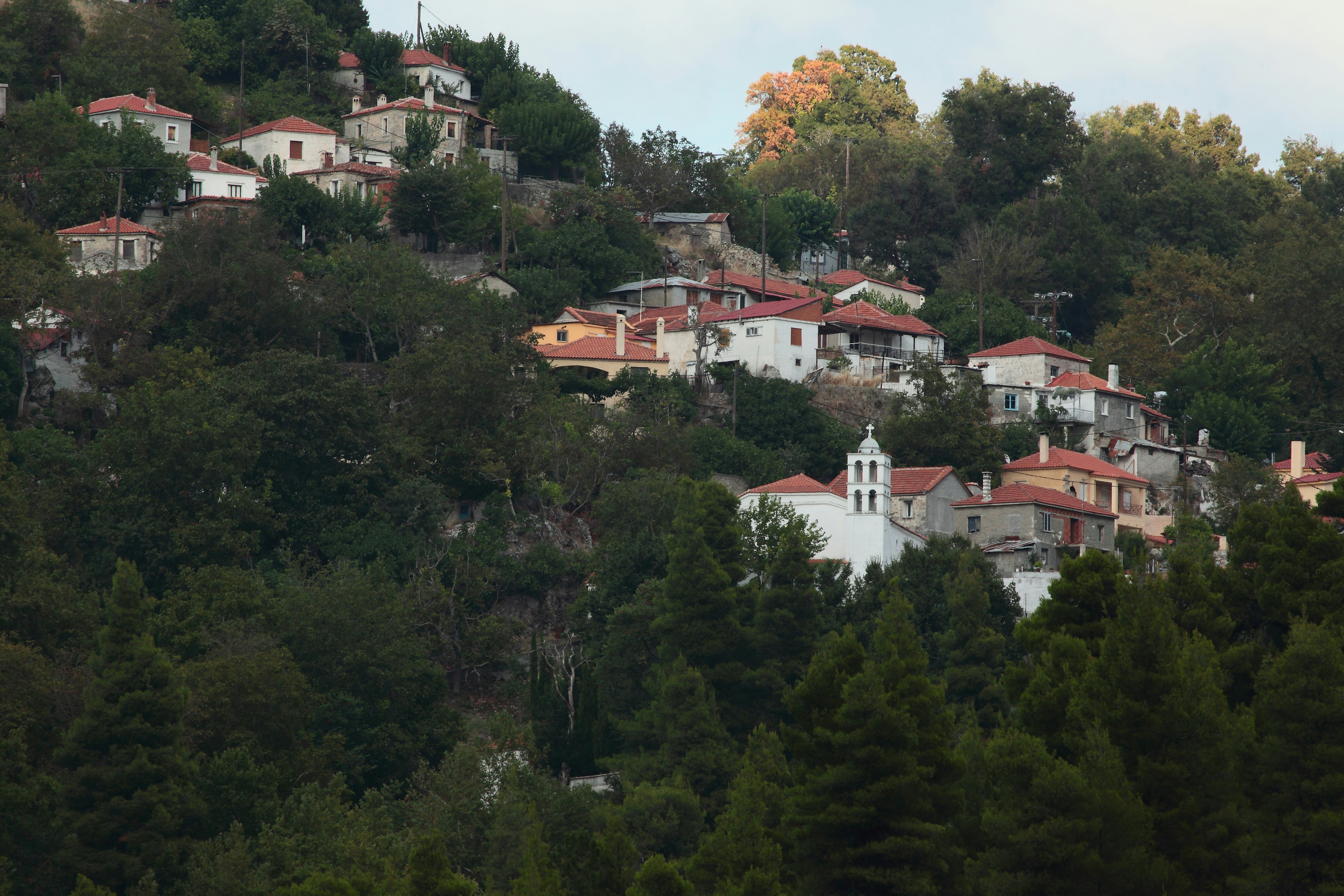 A village nestled among green trees on a hillside.