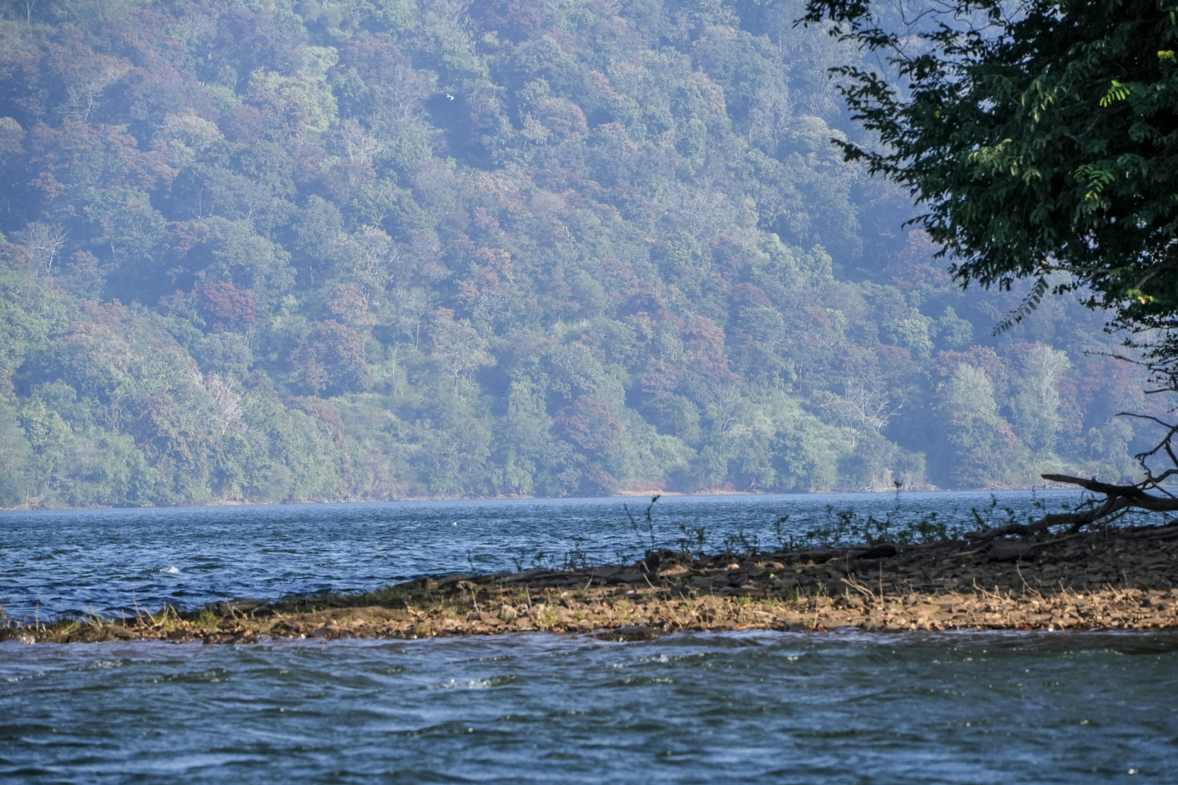 Photo by prakashraophotography