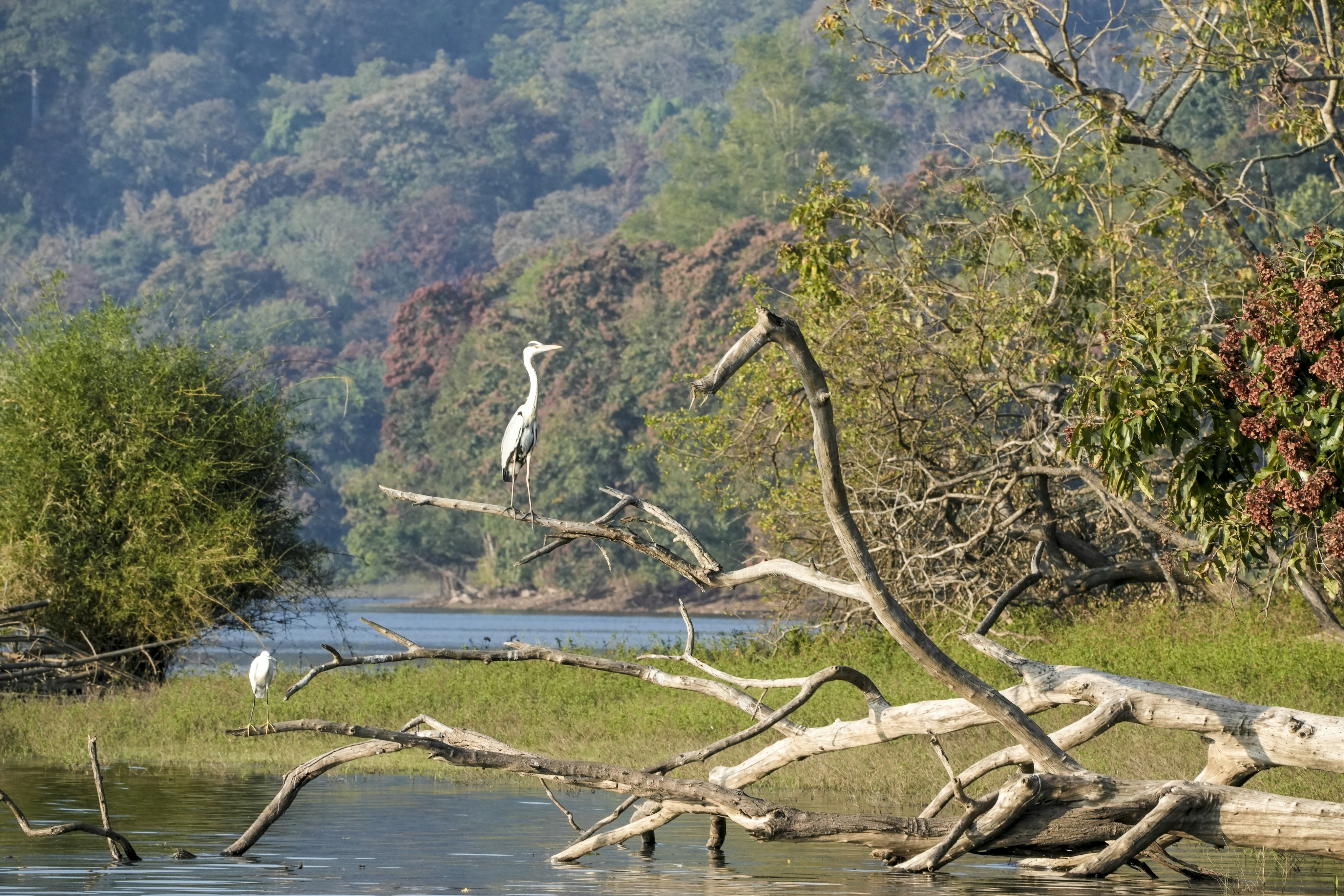 Photo by prakashraophotography