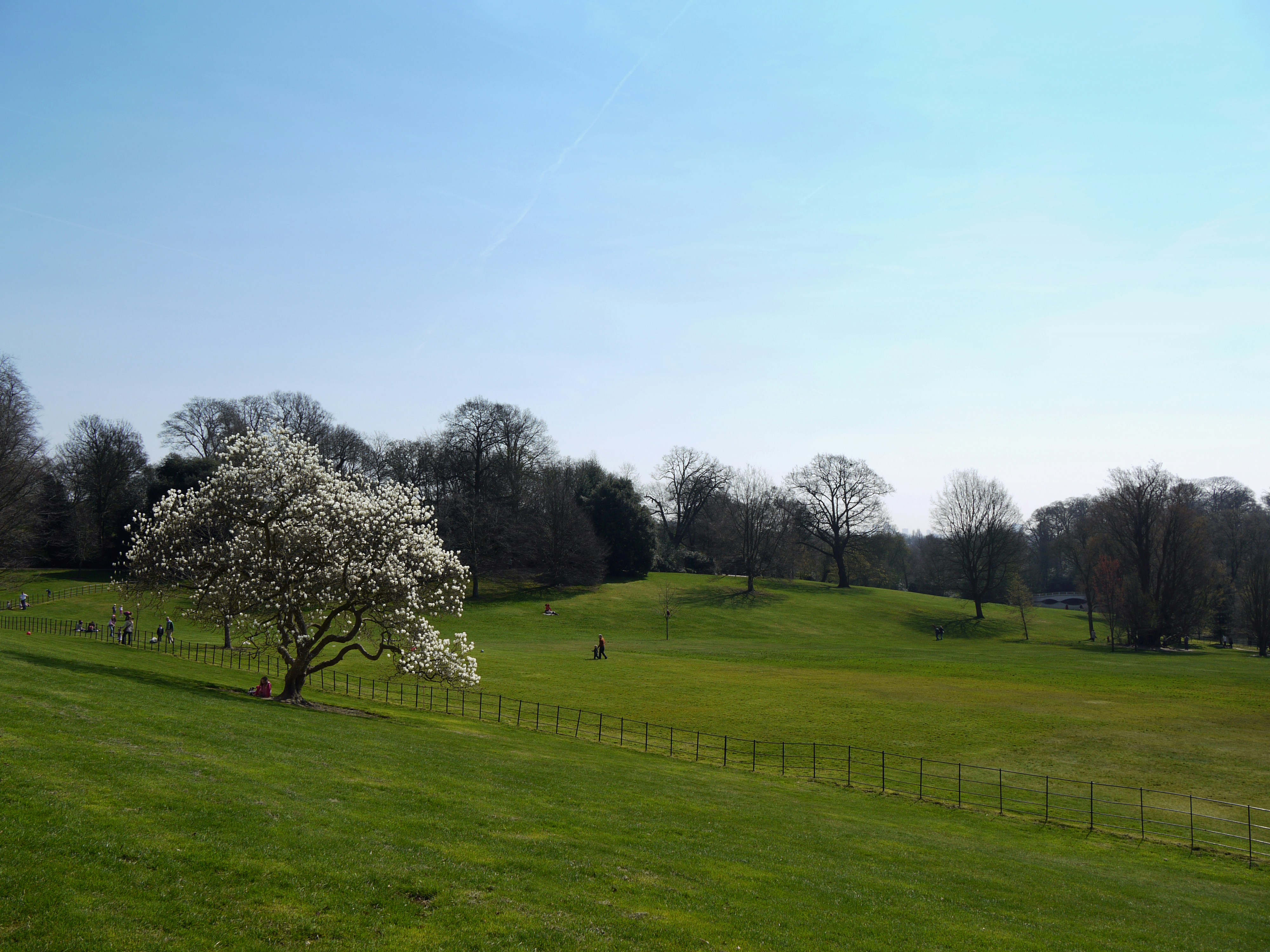 Photo by brett_jordan