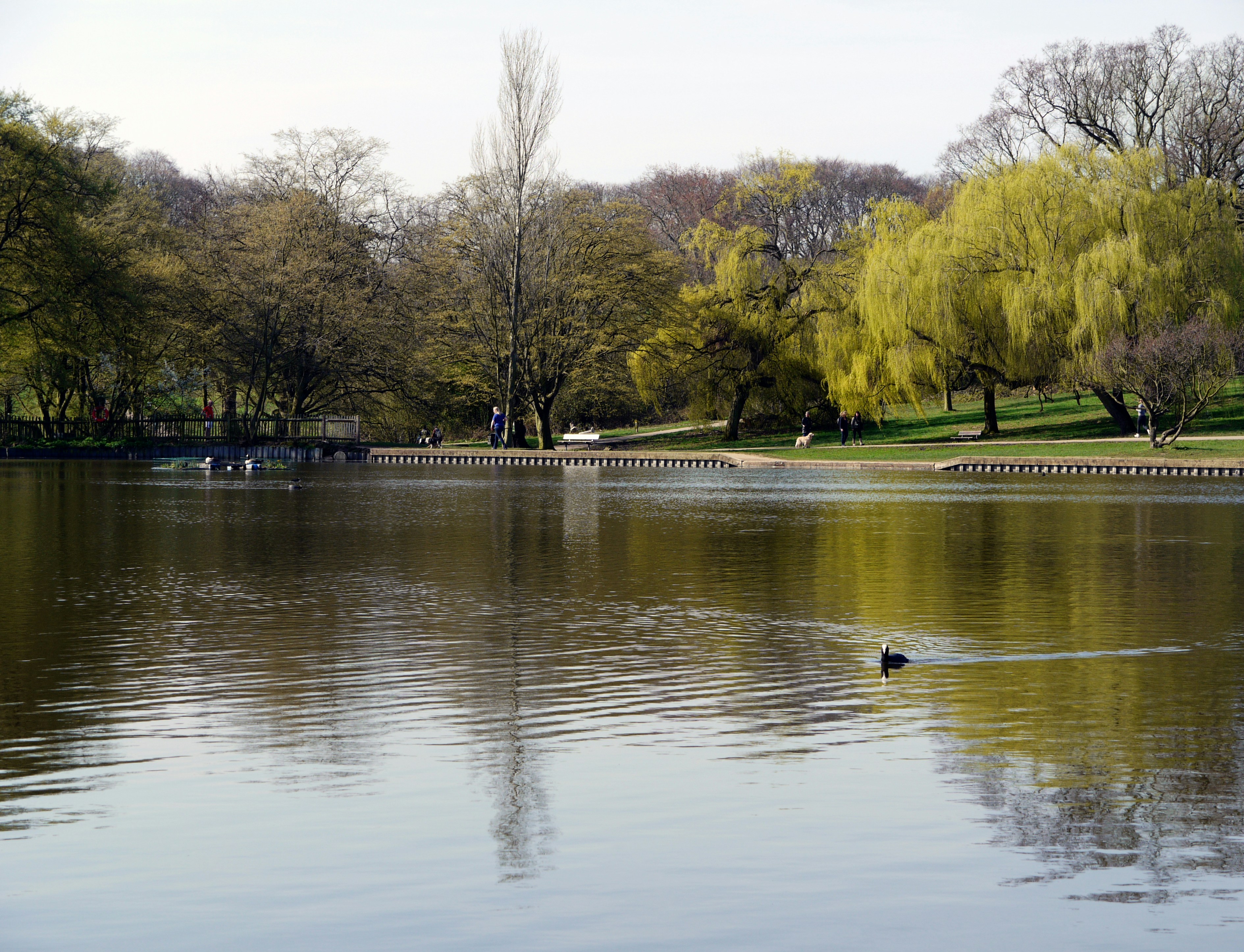 Photo by brett_jordan