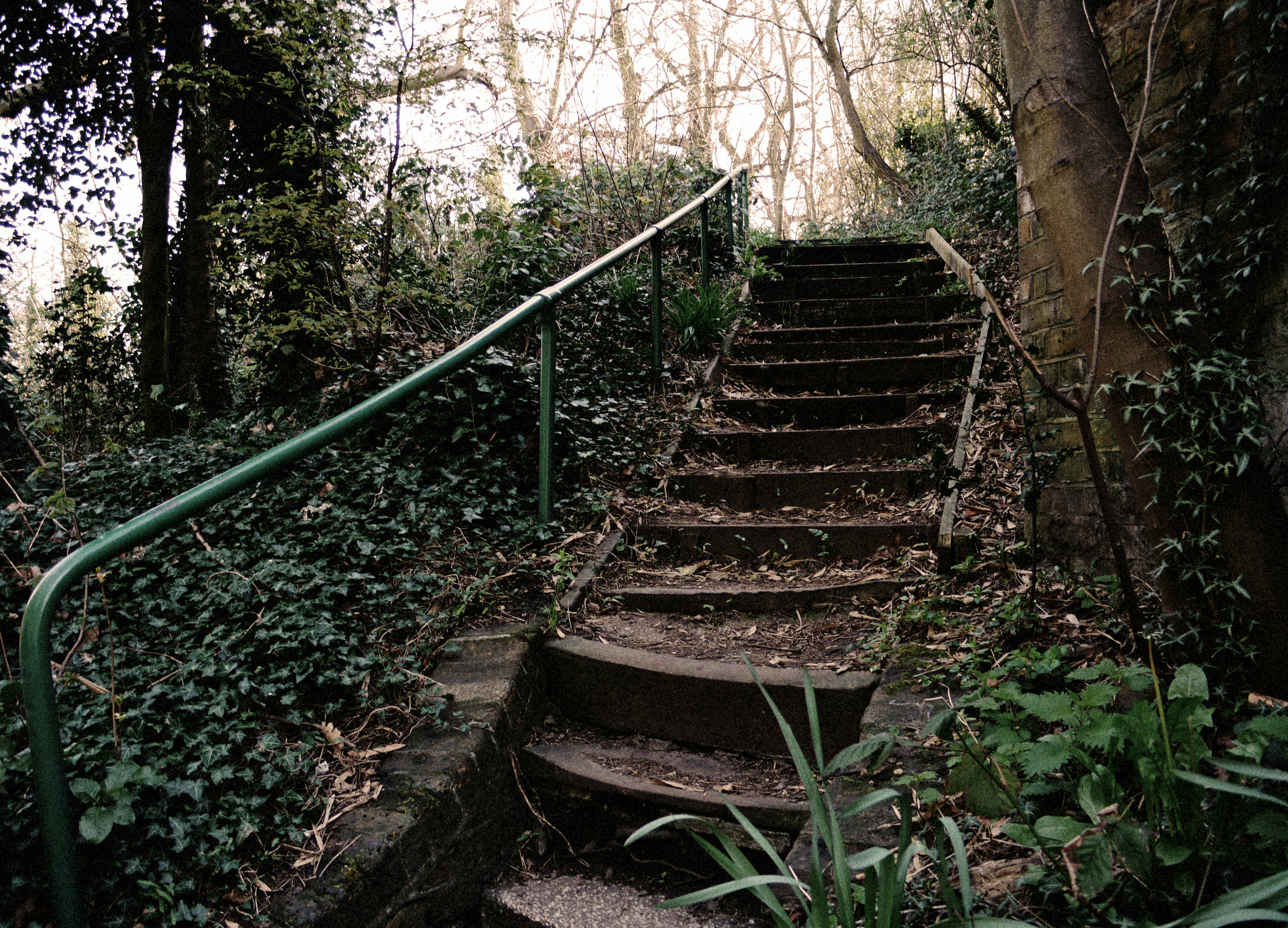 Photo by brett_jordan