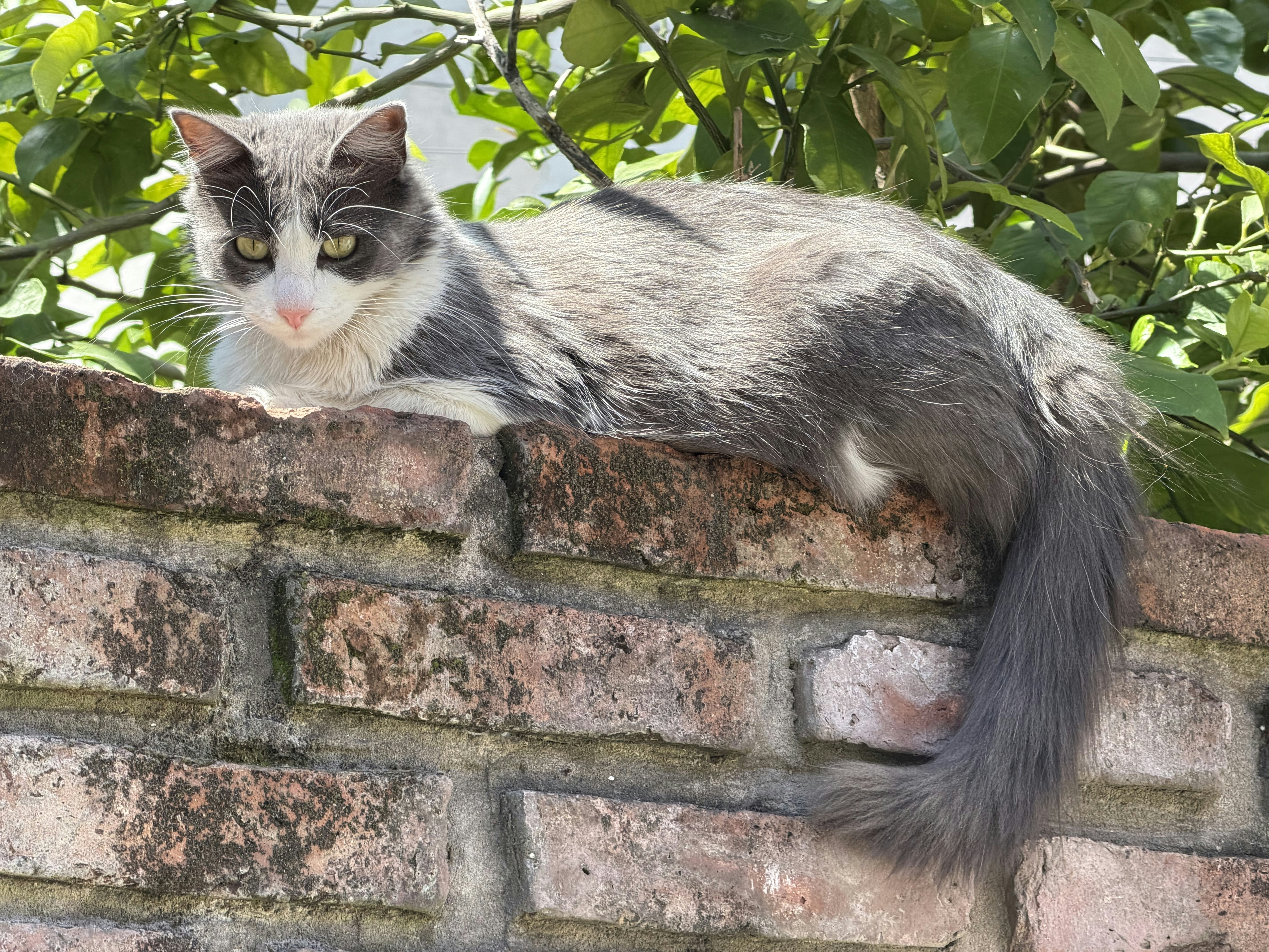 Photo by gpapasergio