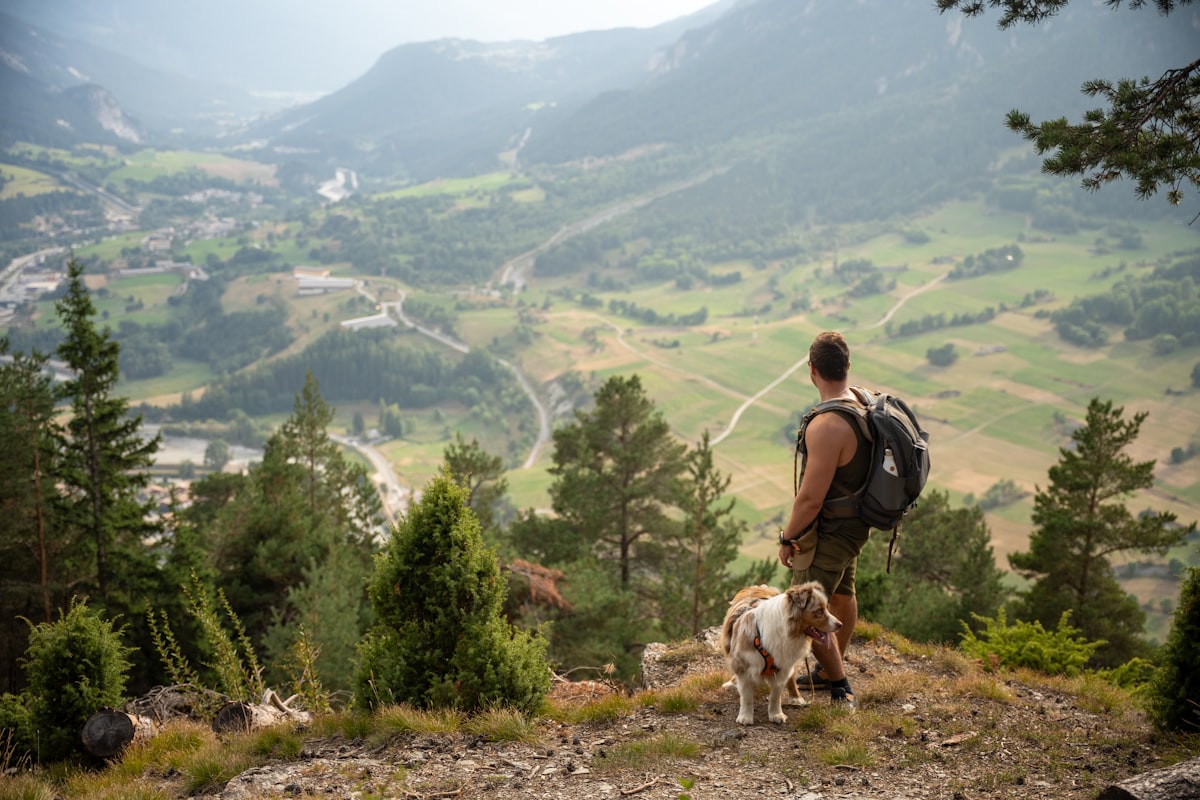 Hiker with dog on mountain trail overlooking valley