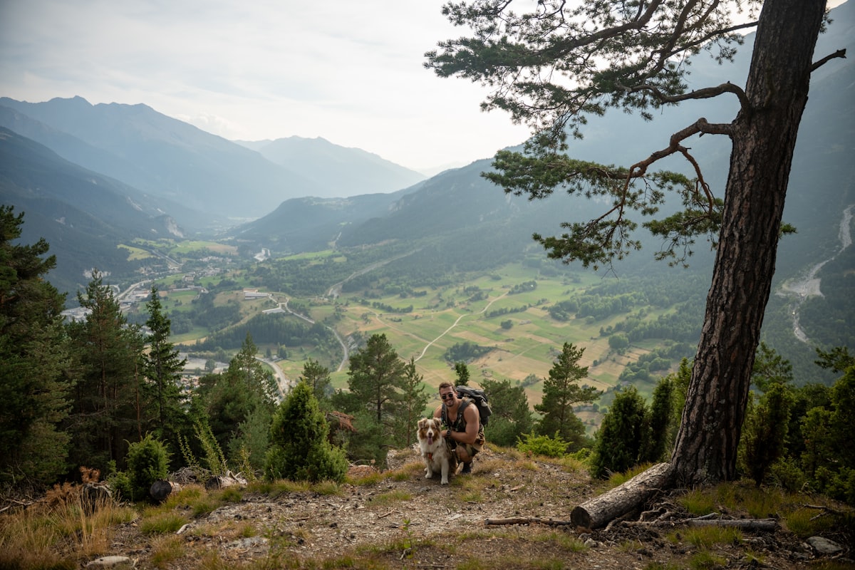 Man and dog on mountain trail overlooking valley wilderness