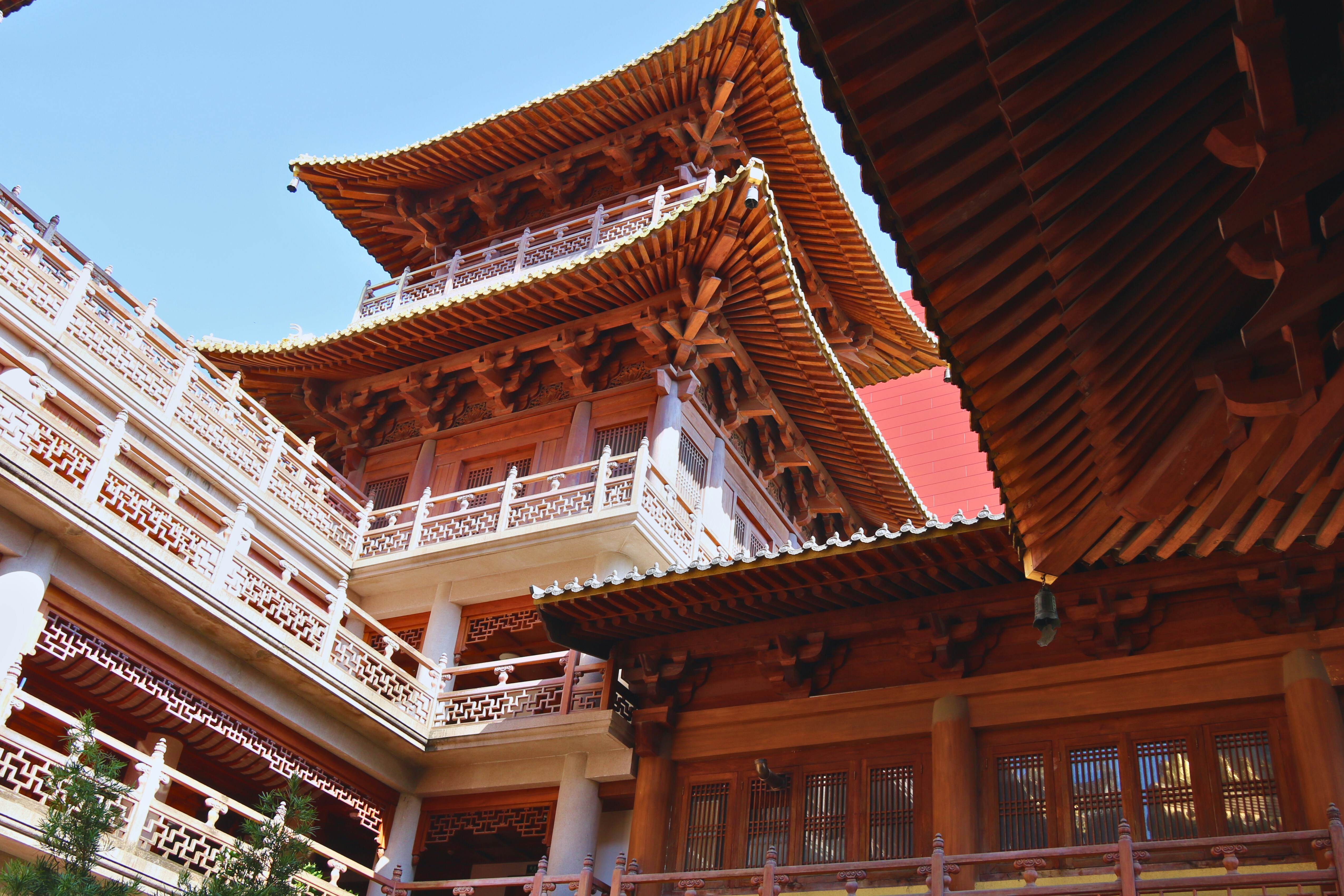 Photo by brunafisantos