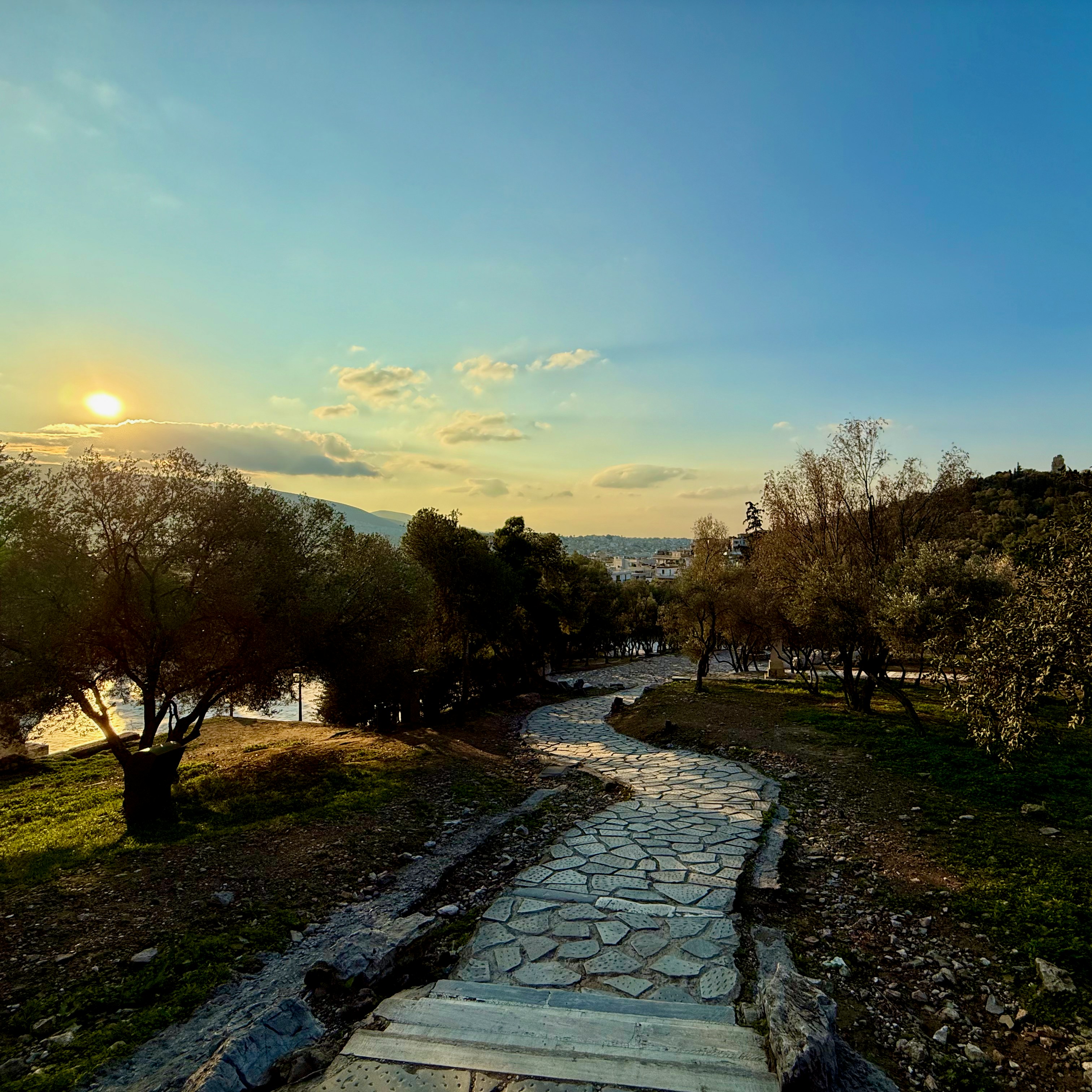 Stone path winding through olive trees at sunset.