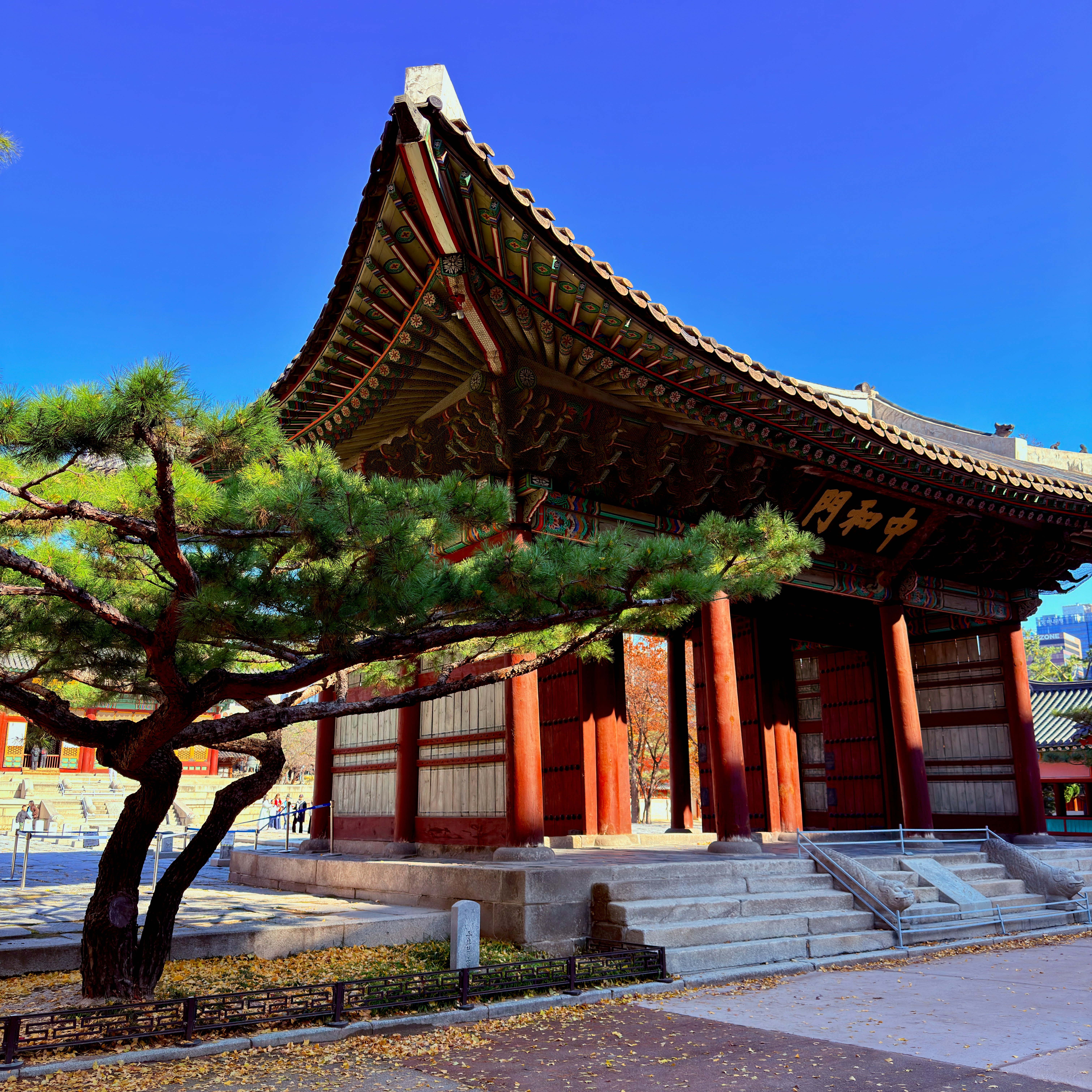 Traditional korean building with a pine tree.
