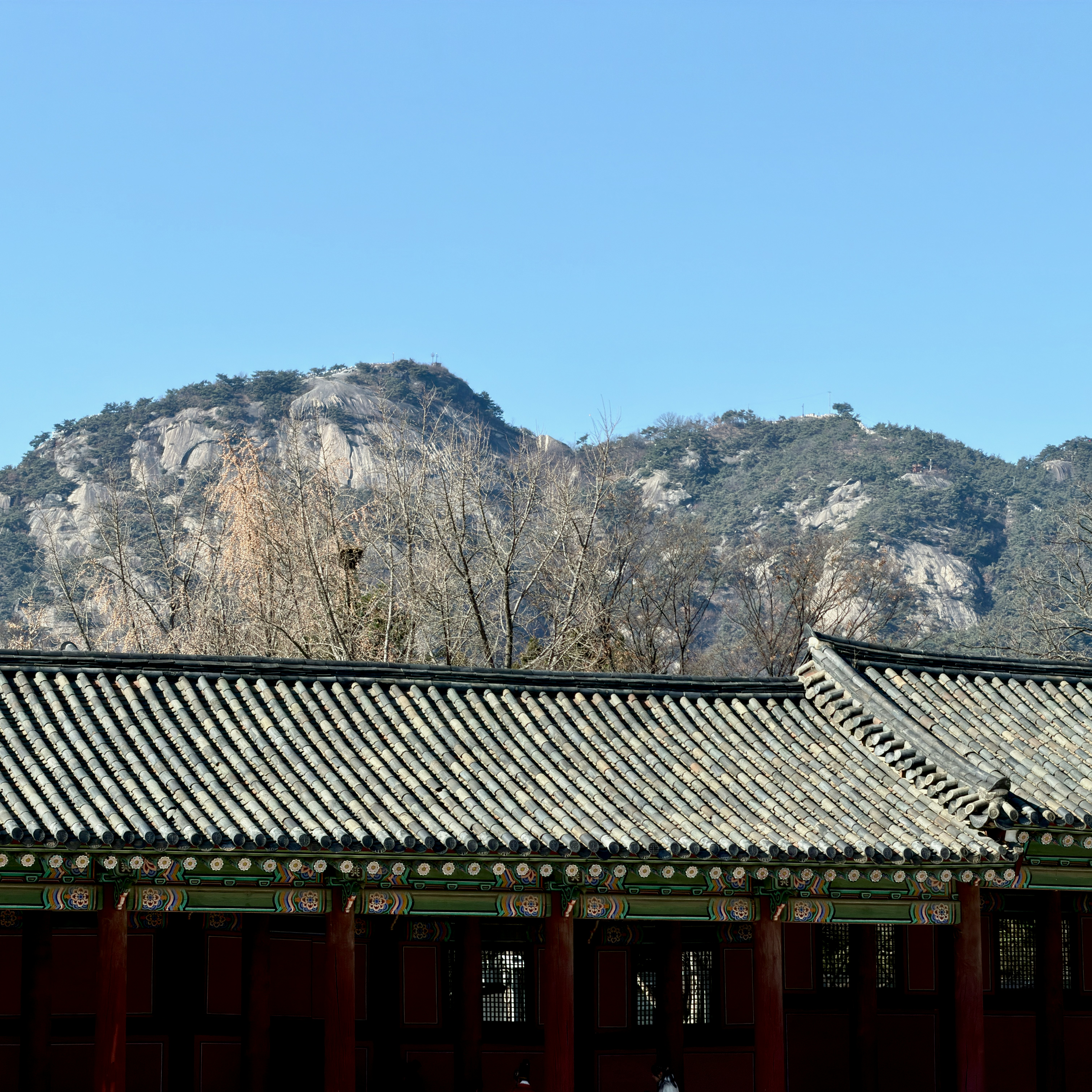 Traditional building with tiled roof against mountains.