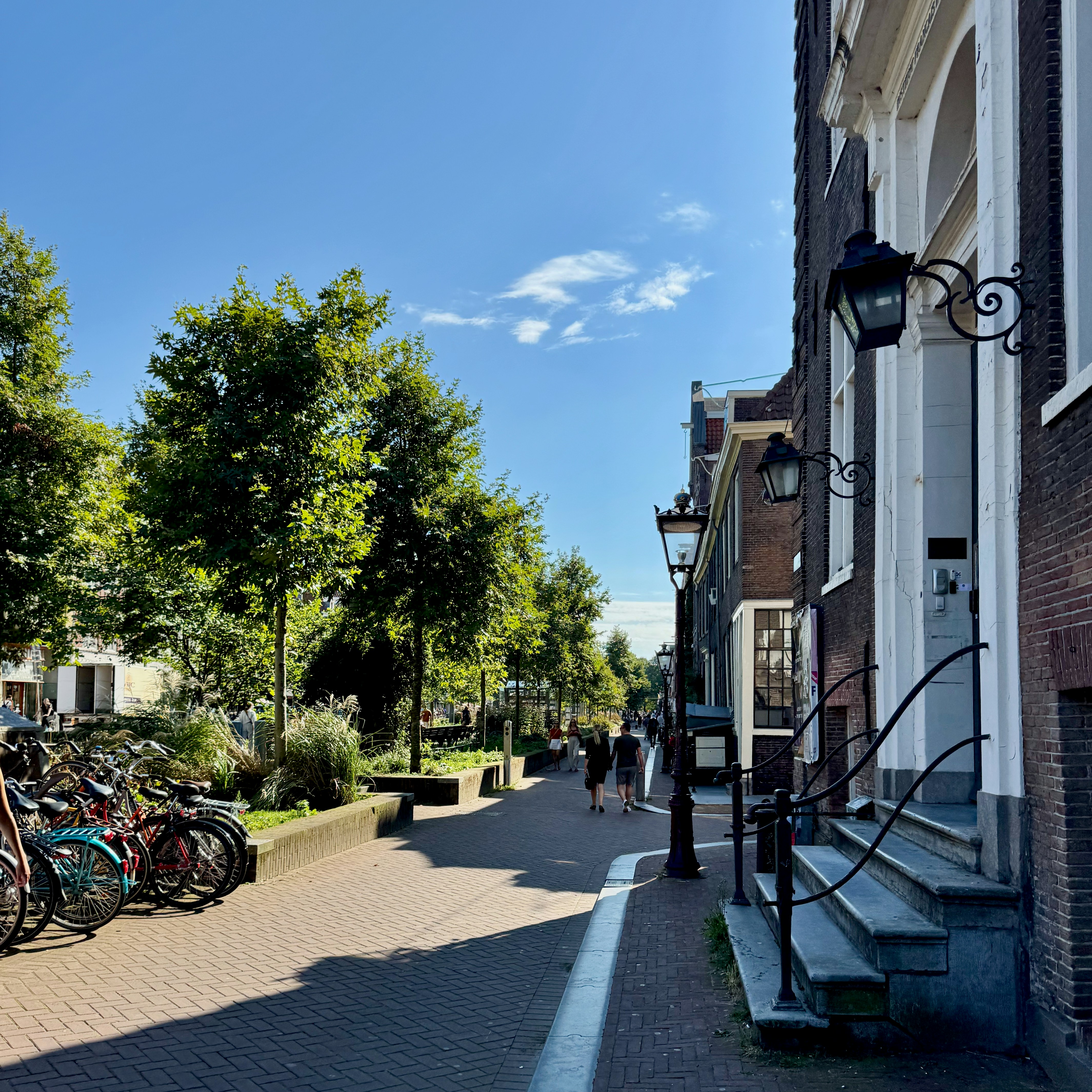 Sunny street with trees, bicycles, and buildings.