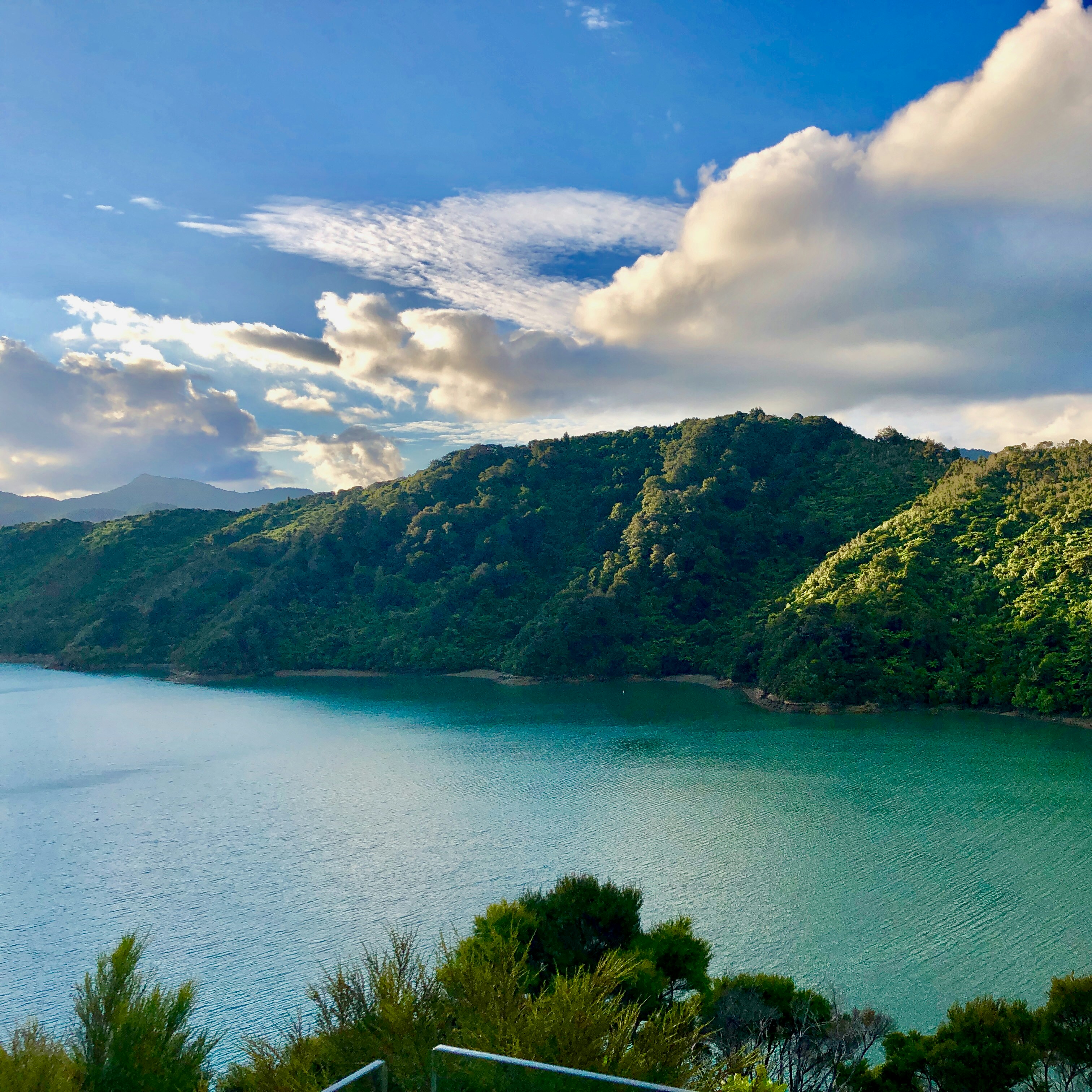 Photo by elijahjcobb