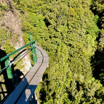 Eagle Nest Skywalk
