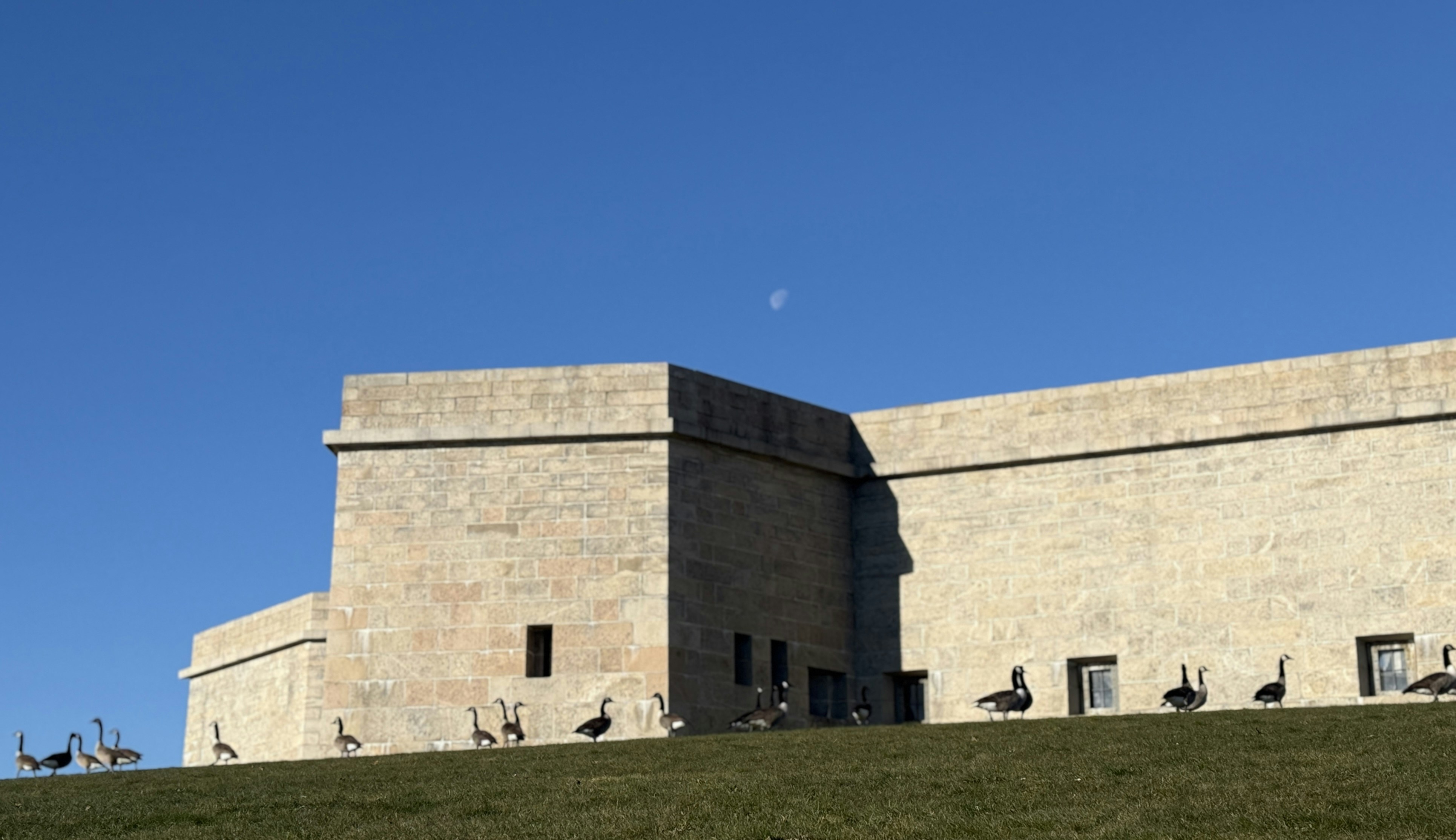 Gänse gehen auf grasbewachsenem Hügel in der Nähe des Steingebäudes