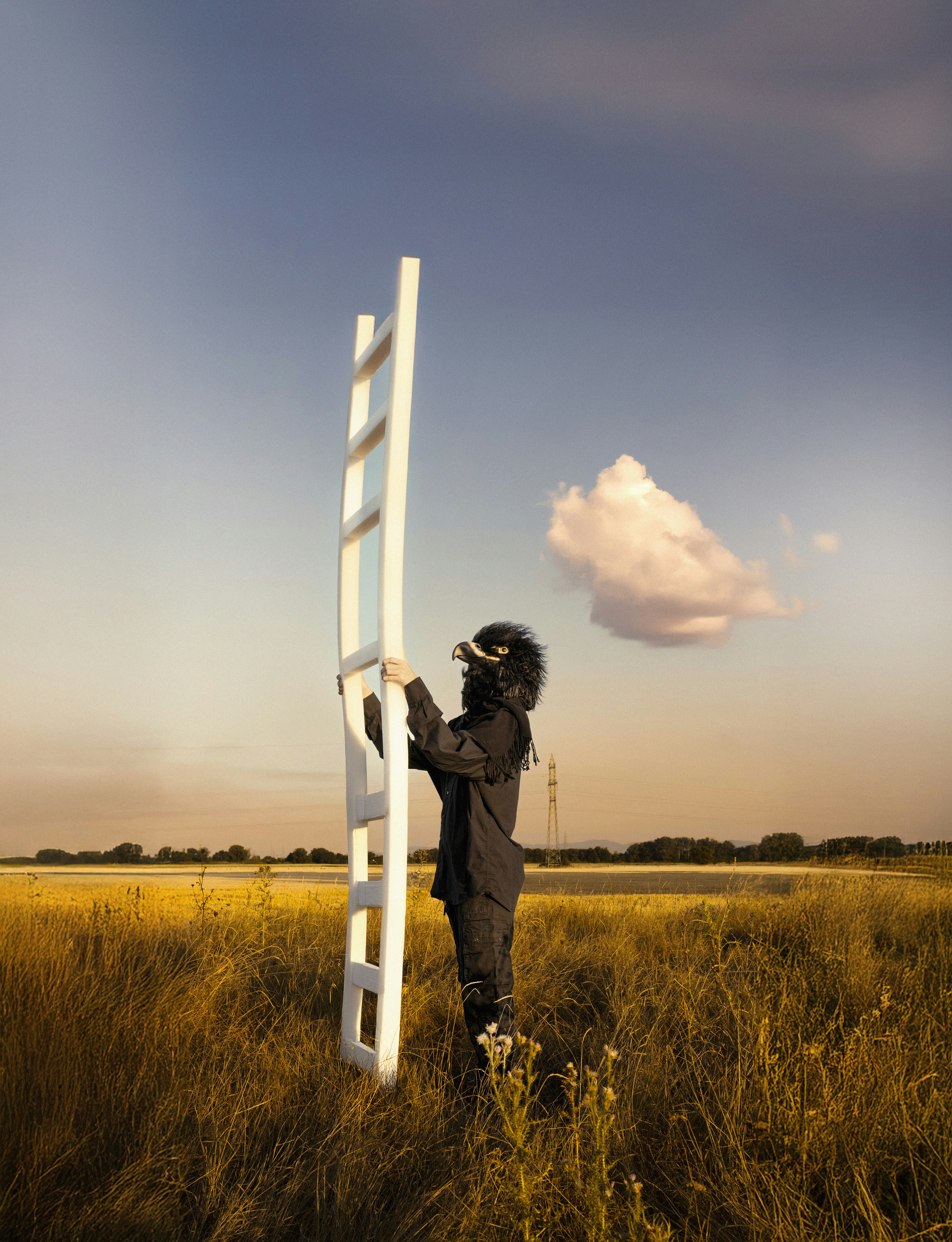 Person climbing a ladder in a field